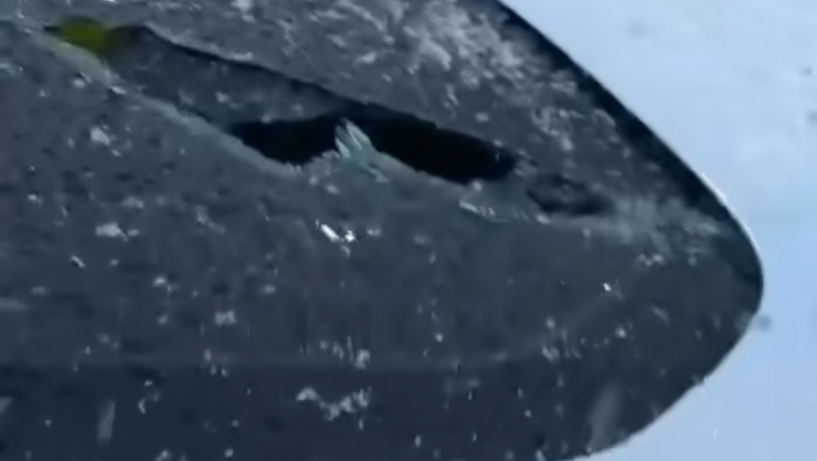 ME REPAIR MY CAR photo