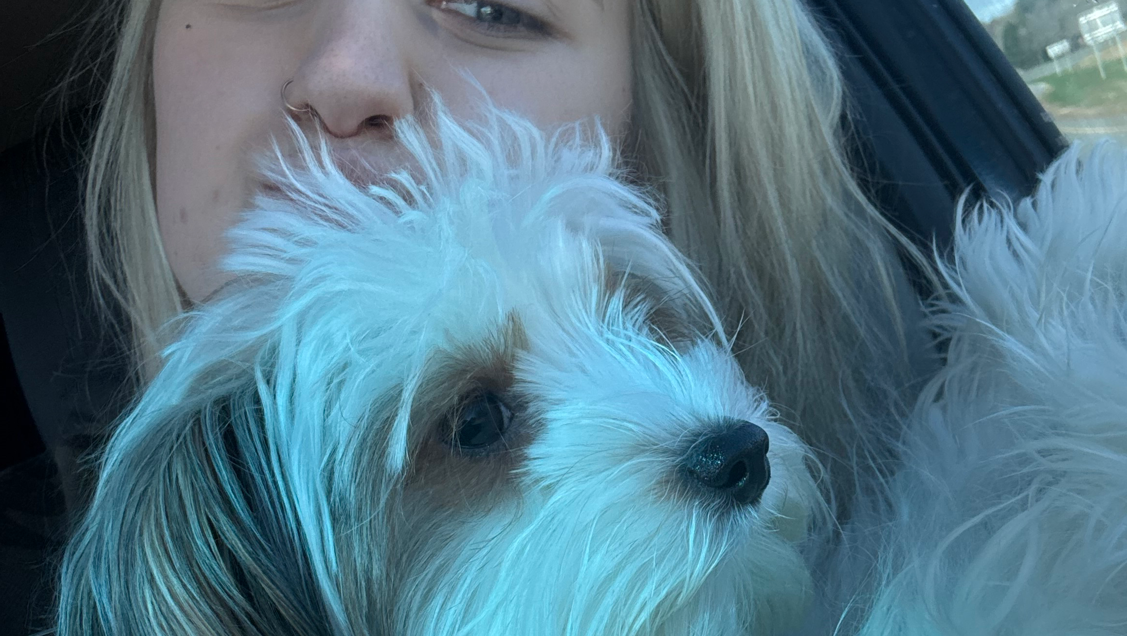 Fight for Katie’s Best Friend’s Recovery photo