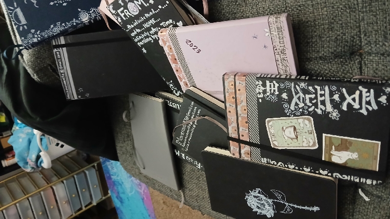 Help Felicia go to a class on how to self-publish! photo