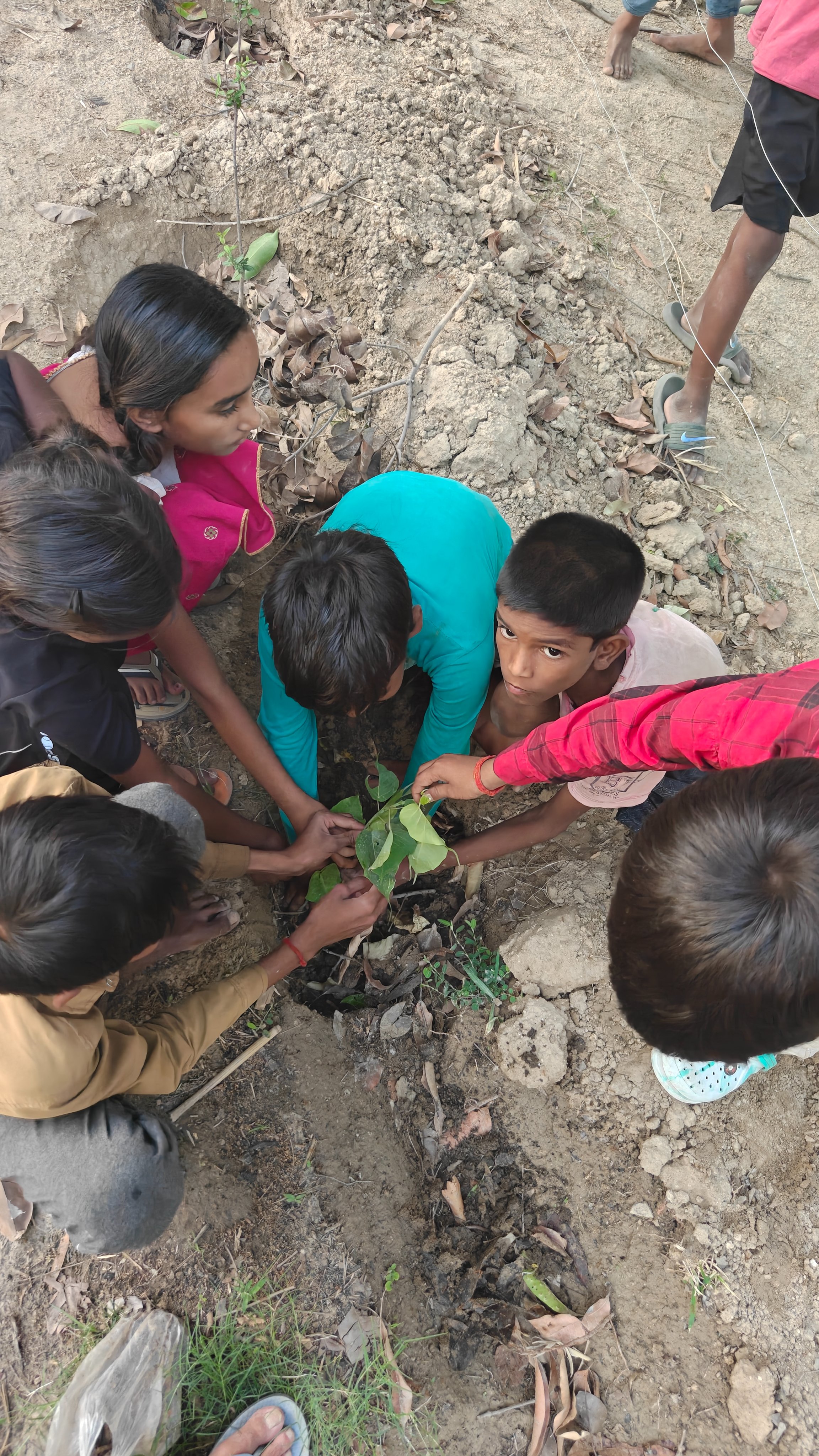 ARANYA : Planting forests. Growing consciousness. campaign photo, 7 of 8