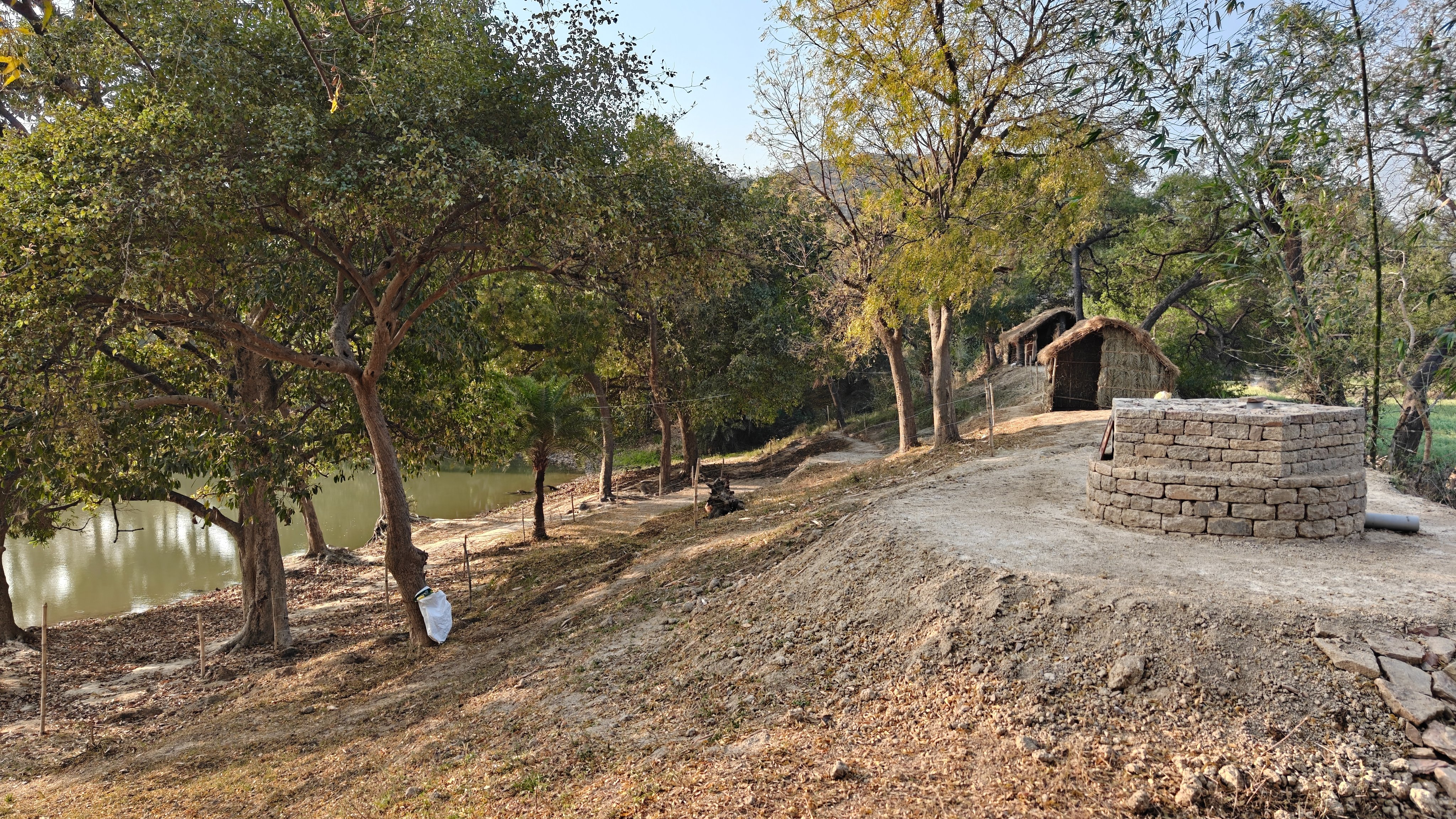 ARANYA : Planting forests. Growing consciousness. campaign photo, 5 of 8