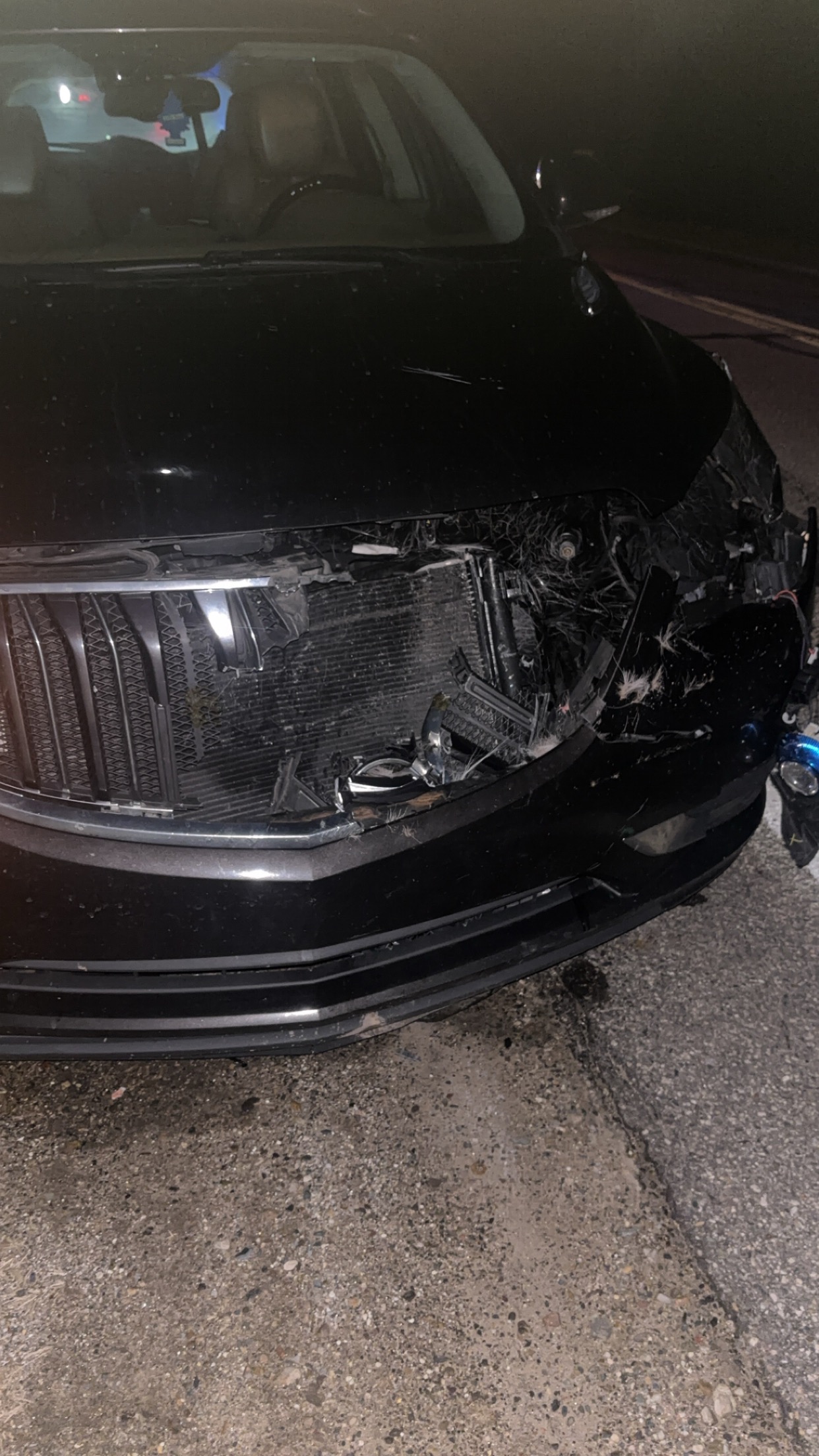 Support Katie After Her Car Accident campaign photo, 2 of 4