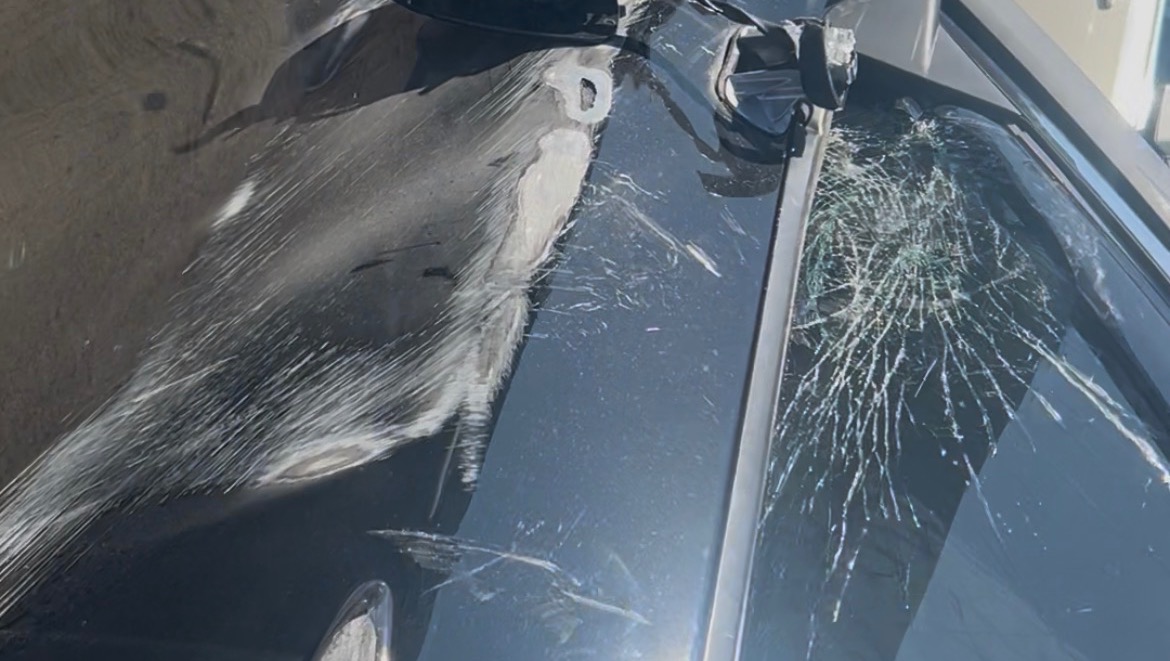 Support Us in Regaining Stability After the Crash photo