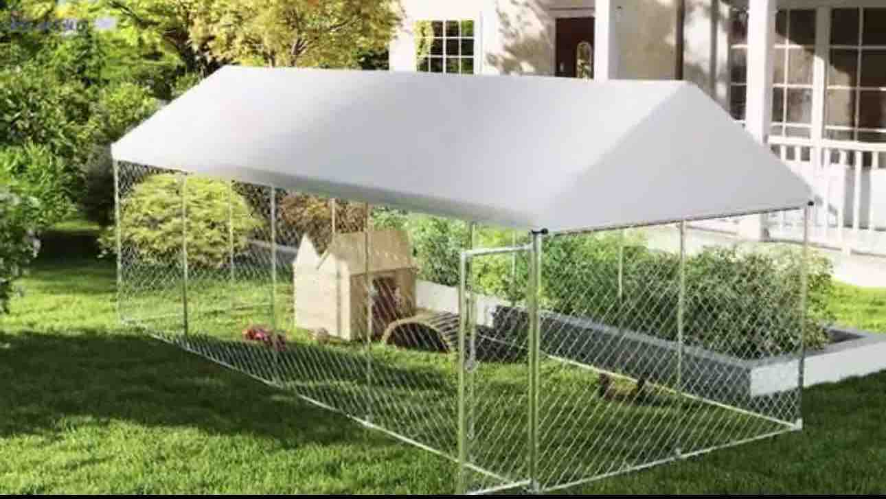 Help Us Buy a Large Breed Dog Kennel photo