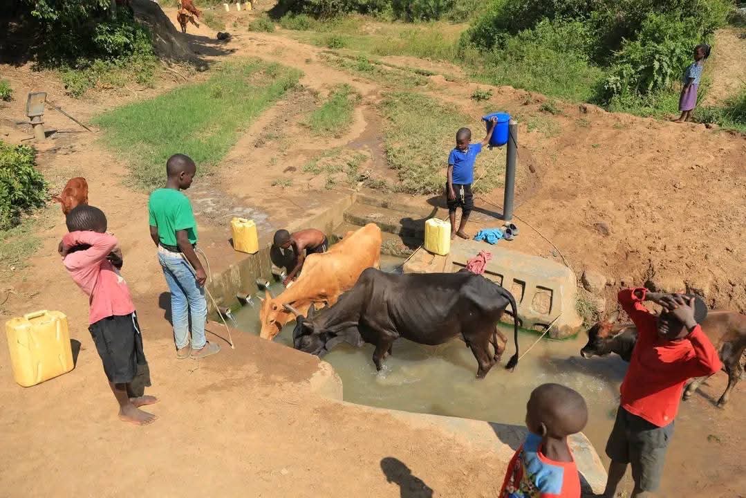 Projekt Trinkwasser: Brunnenbau in Uganda 2026 campaign photo, 11 of 12