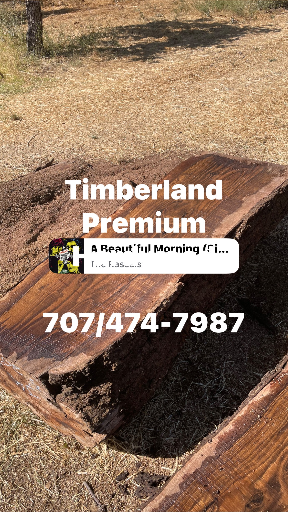 Help Mack Rebuild His Wood Business campaign photo, 6 of 8