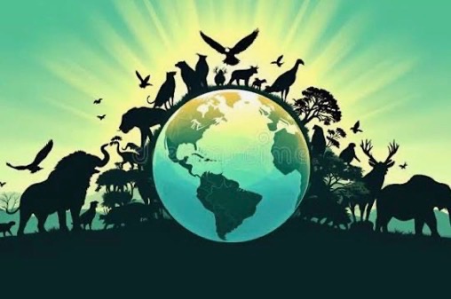 Global Conservation Volunteer Journey campaign photo, 7 of 8