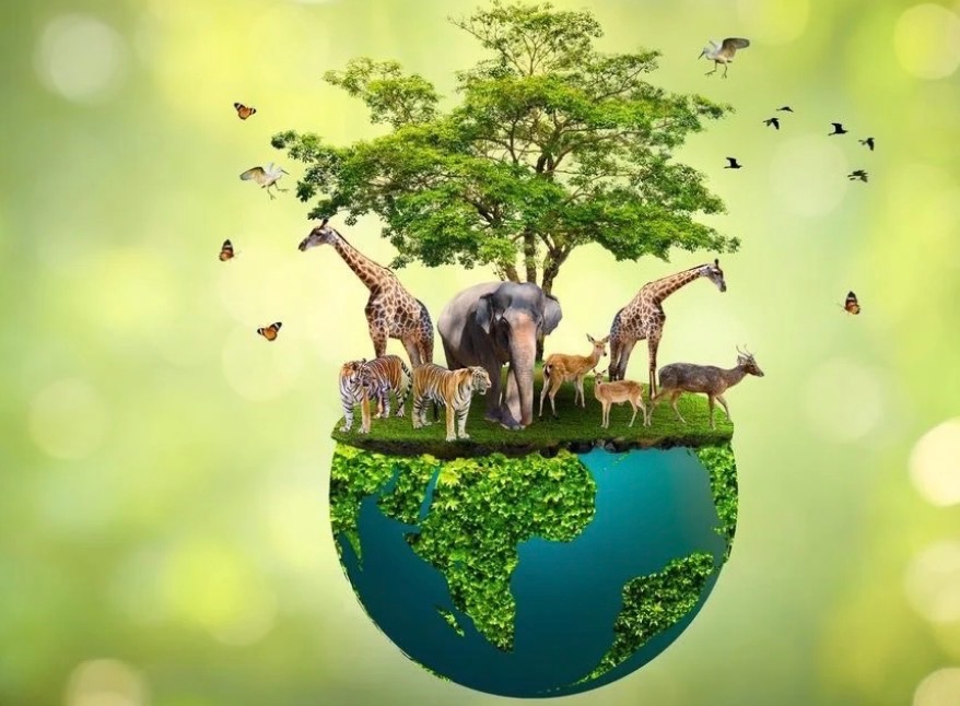 Global Conservation Volunteer Journey campaign photo, 2 of 8