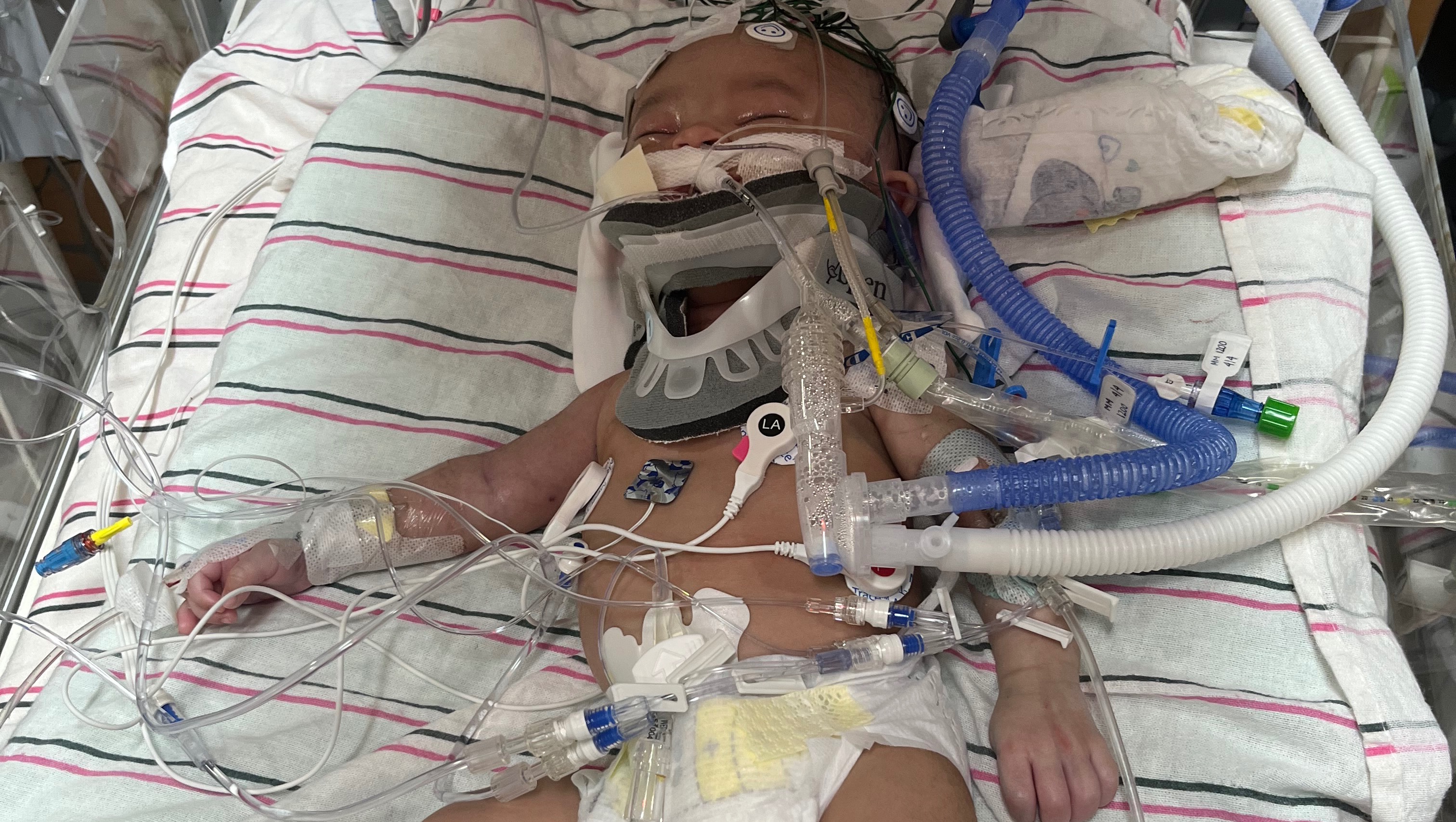 Help My Son Recover and Rebuild Our Lives photo