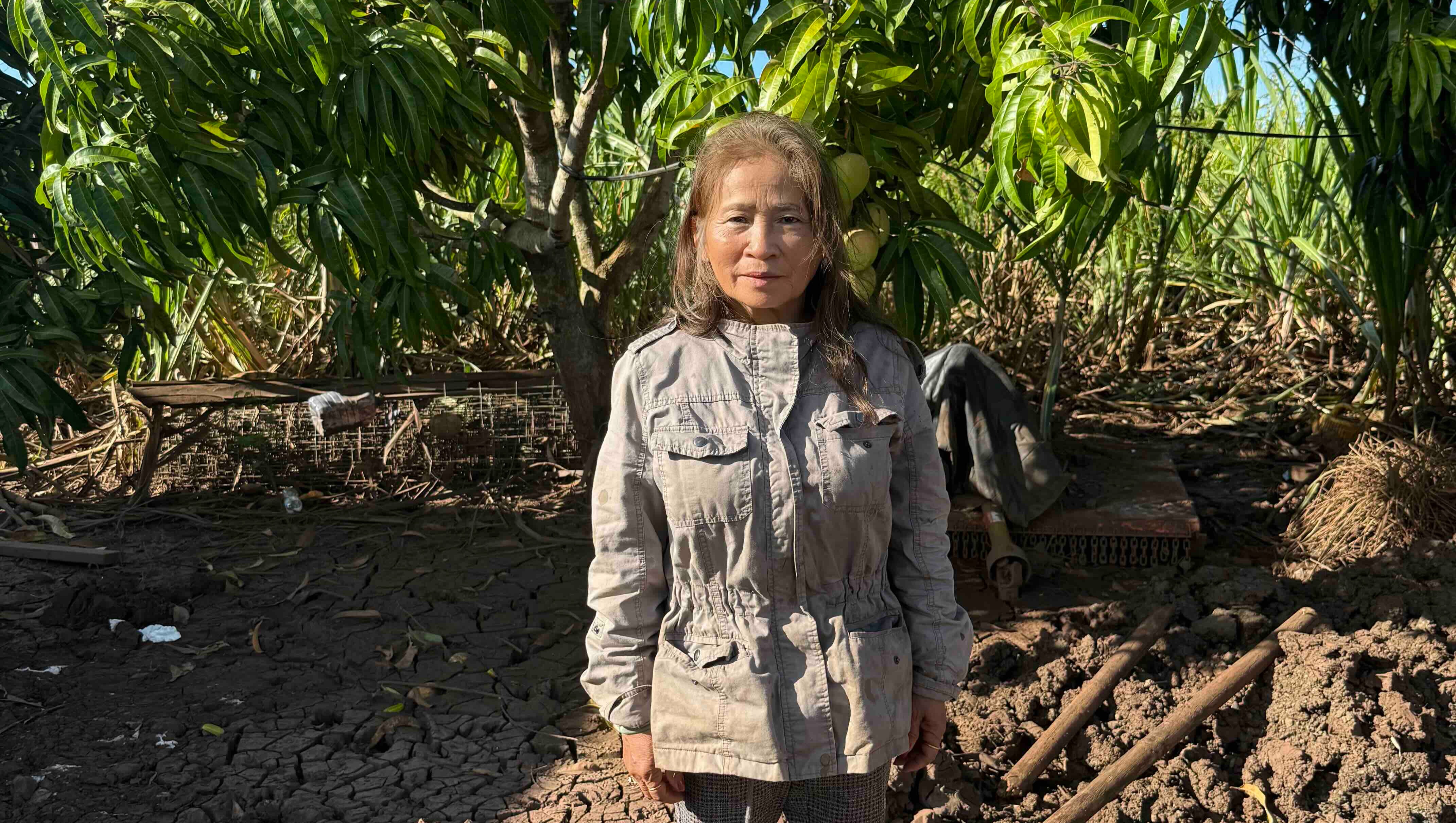 Support Soutmanisay’s Flower Farm Recovery photo