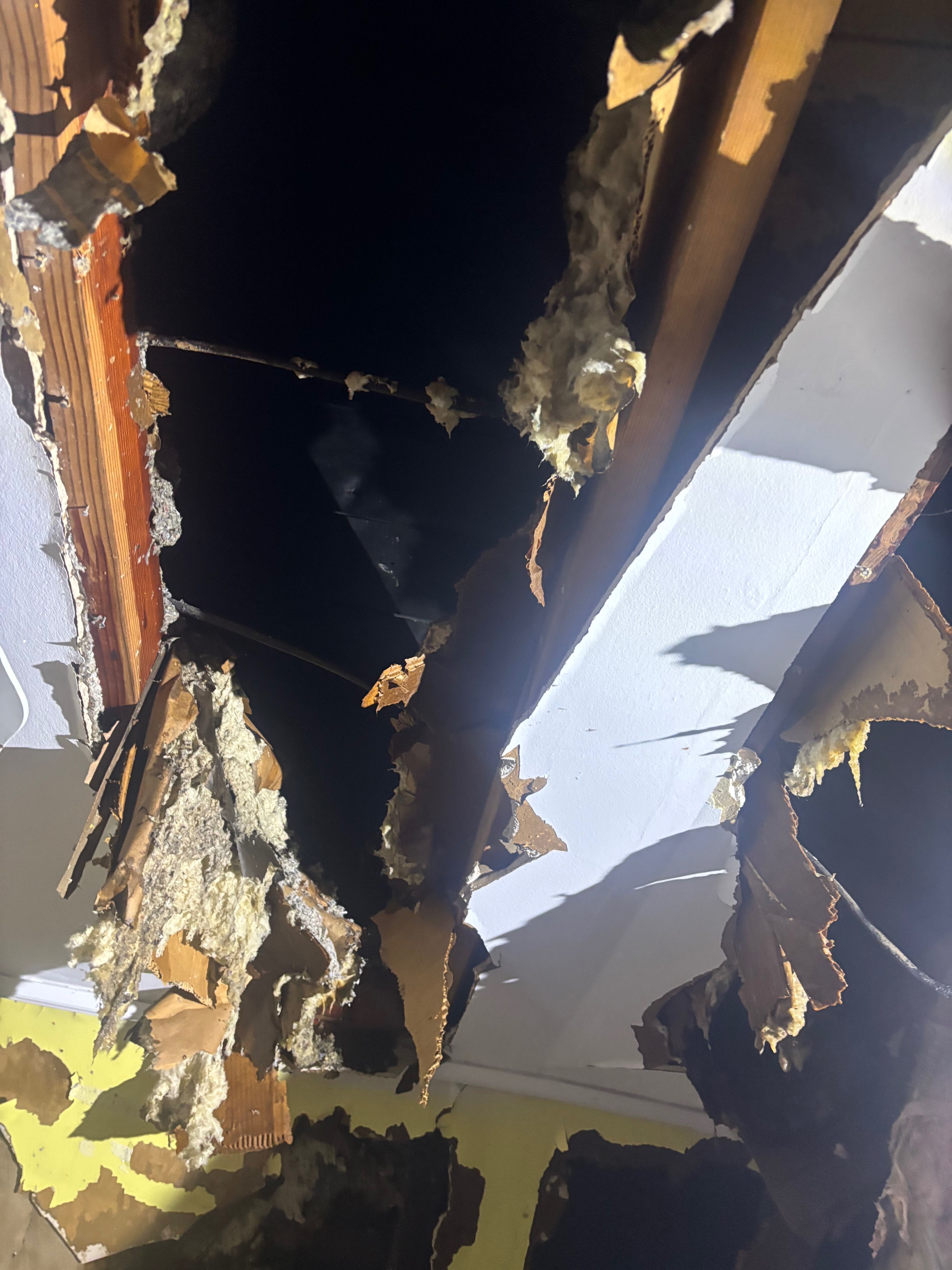 Fundraiser by Ricardo Monzon : Help Ricardo's Mom Rebuild After House Fire