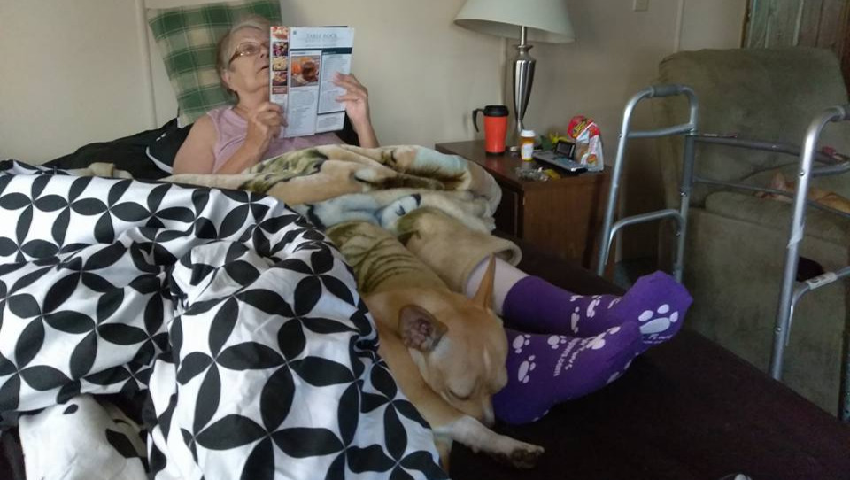 Emergency Support for Loren’s Mom Kathy photo