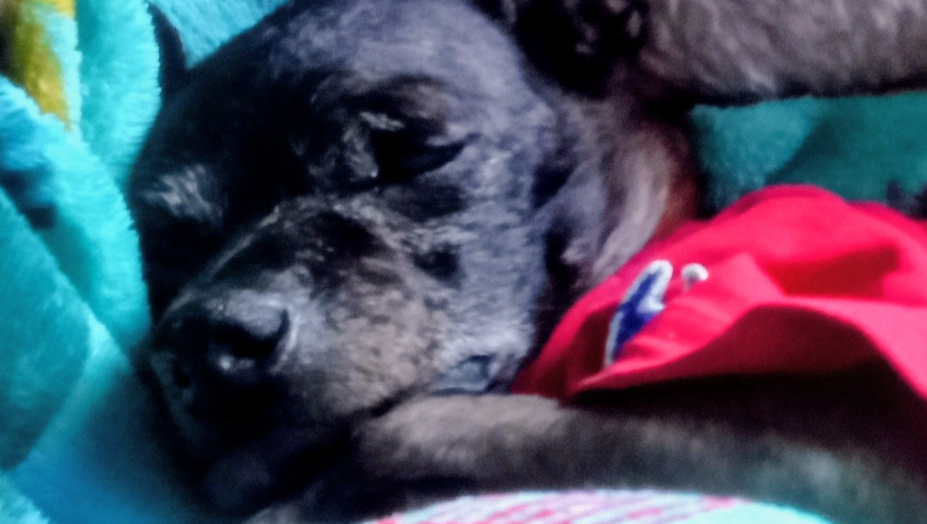 A Loving Farewell for Zonx Patterson photo