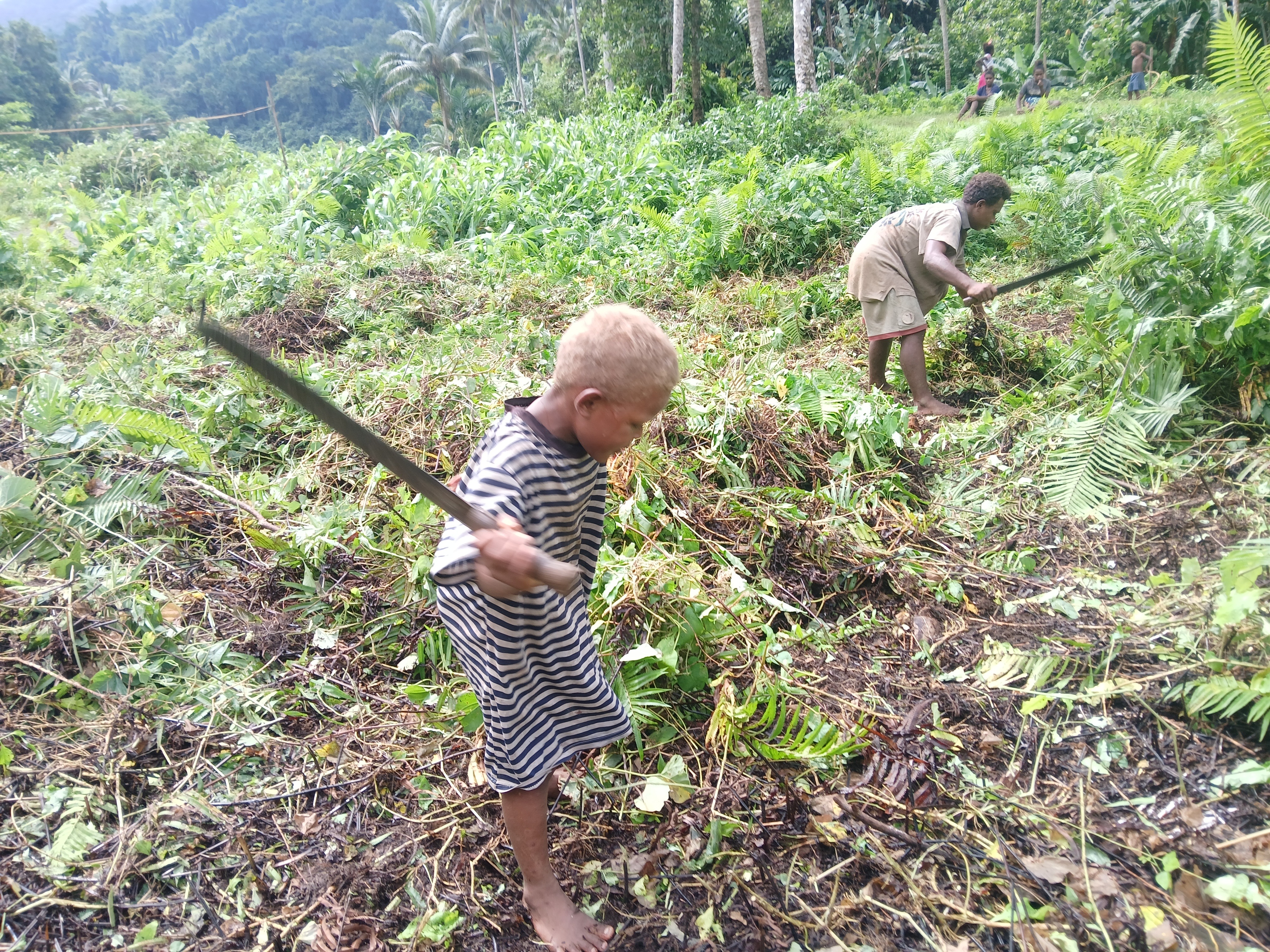 Fundraiser by Reuben Rees : Solomon Islands Mission Trip 2026