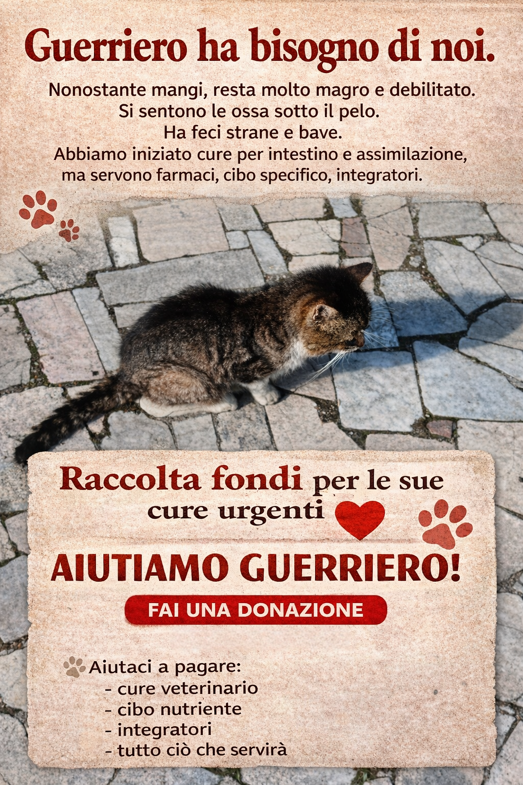 Guerriero lotta ancora: aiutiamolo a non arrendersi campaign photo, 2 of 4