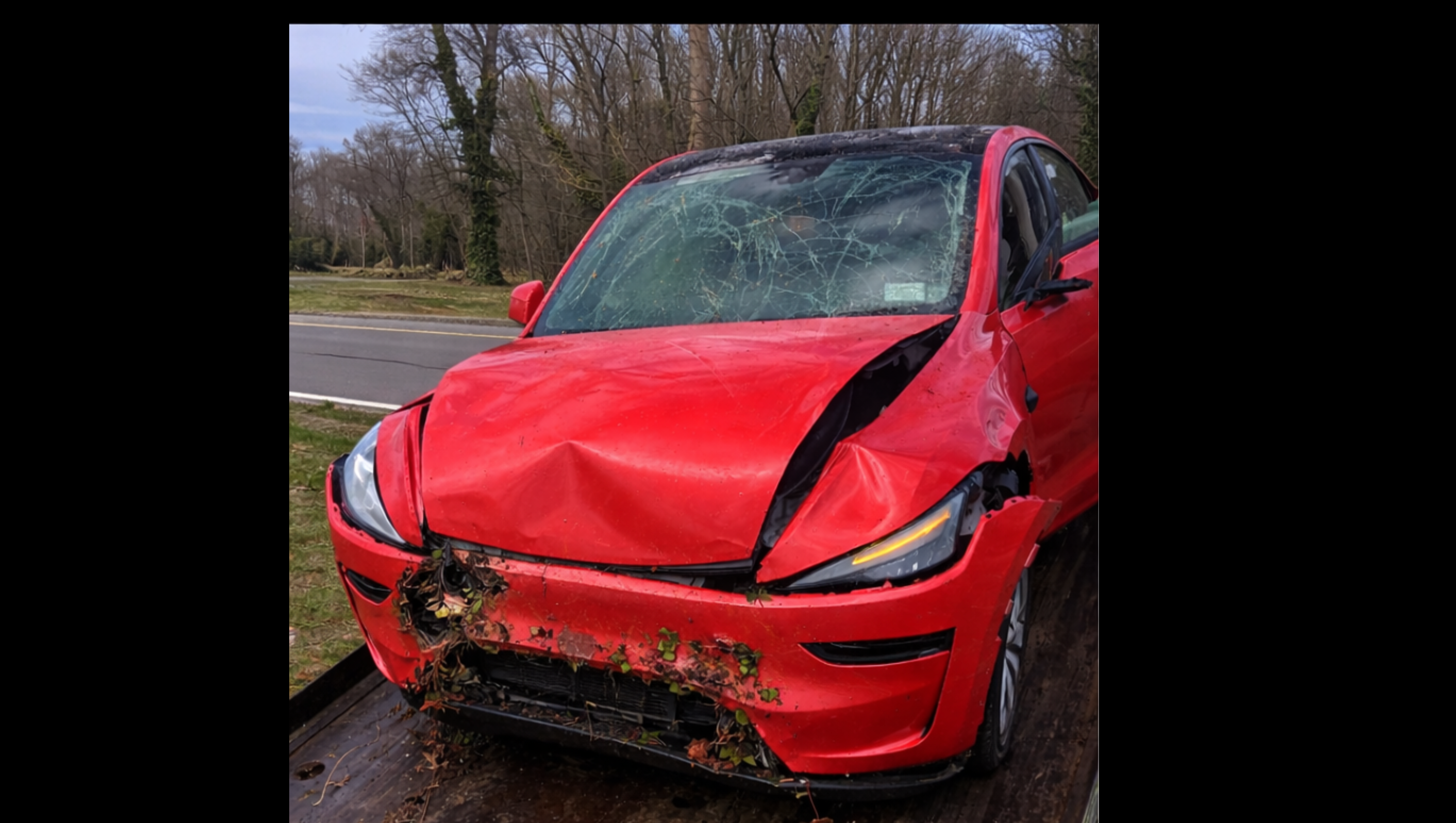 Help Our Family Recover from a Devastating Accident photo