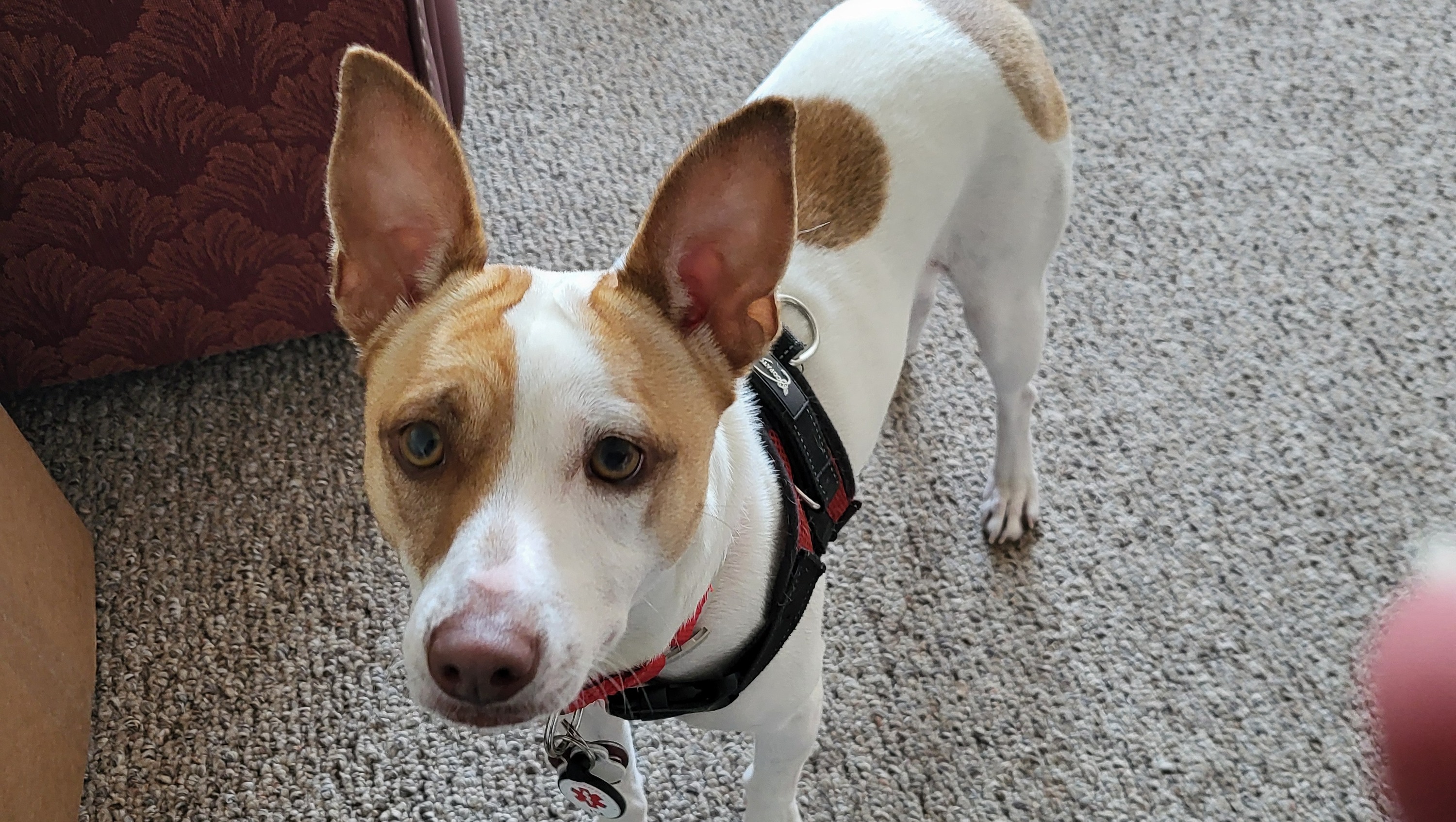 Help Mary & Merry Stay Safe This Month photo