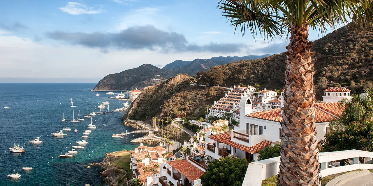 Catalina Island Mini Honeymoon campaign photo, 5 of 8