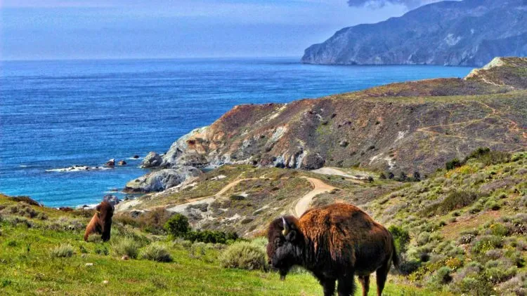 Catalina Island Mini Honeymoon campaign photo, 6 of 8