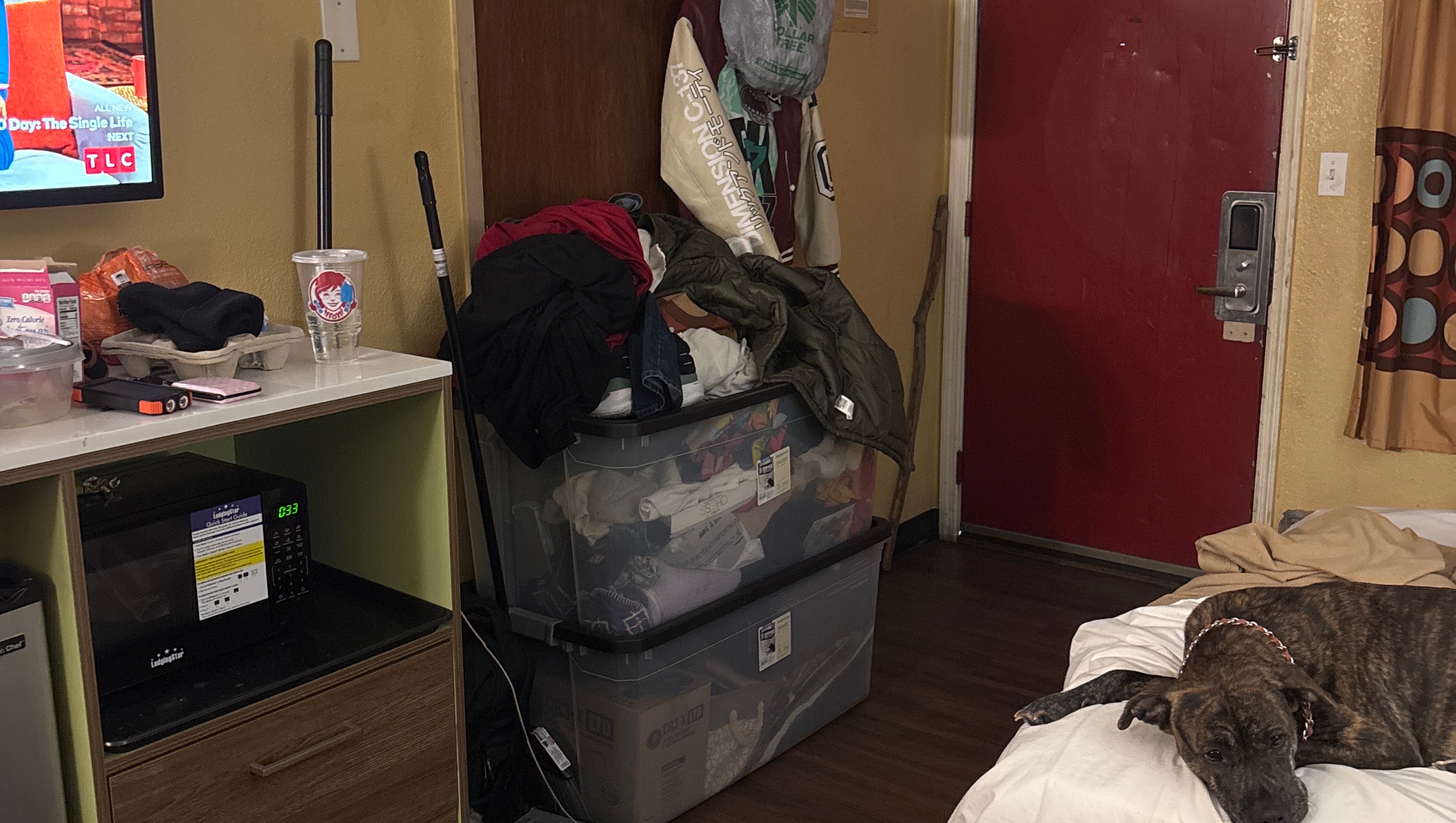 Compassion Needed: Help Us Get Back on Our Feet photo