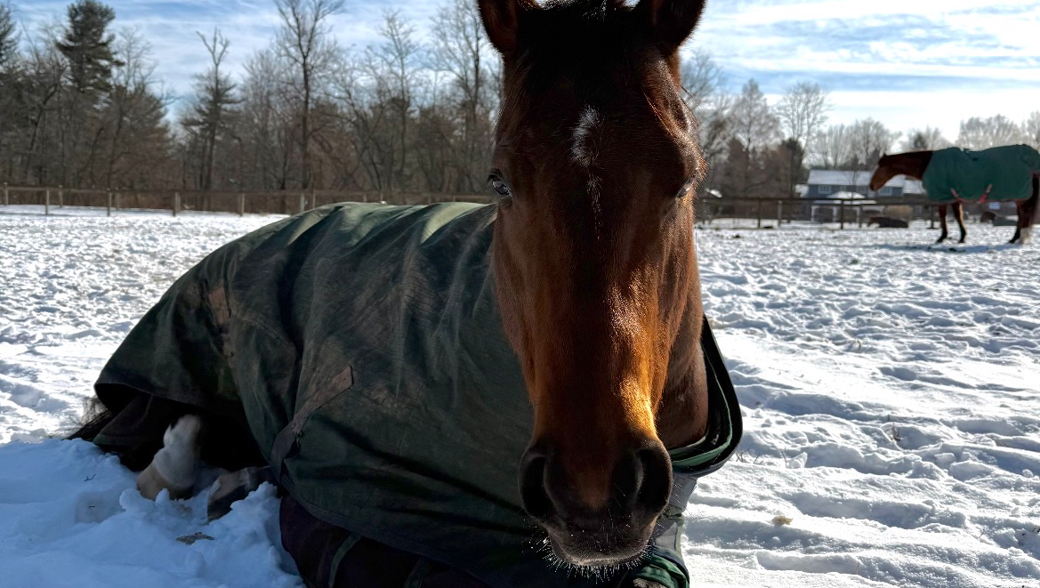 Support Velvet's Care photo