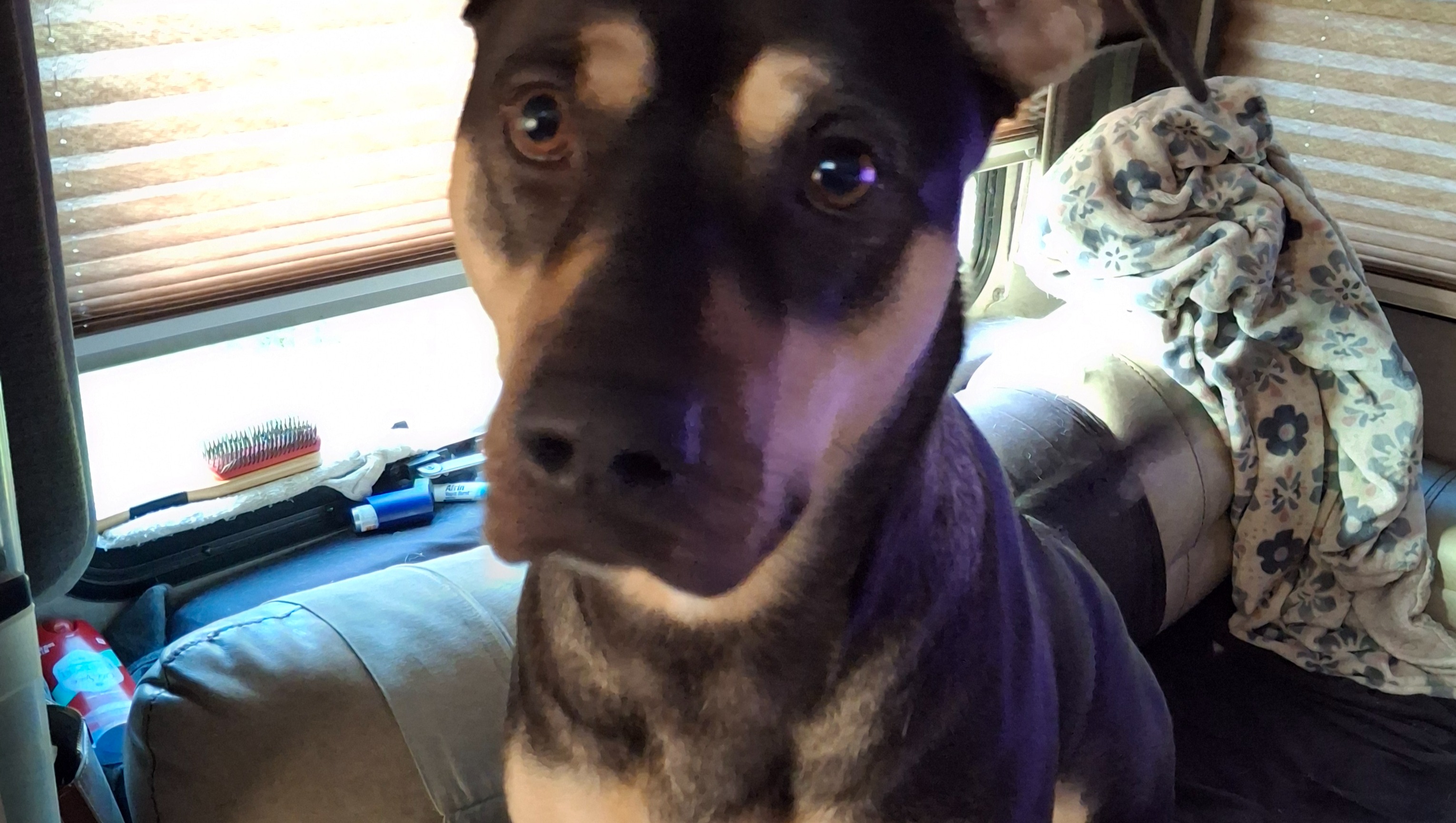 Help Sara Catch Up on Back Rent photo