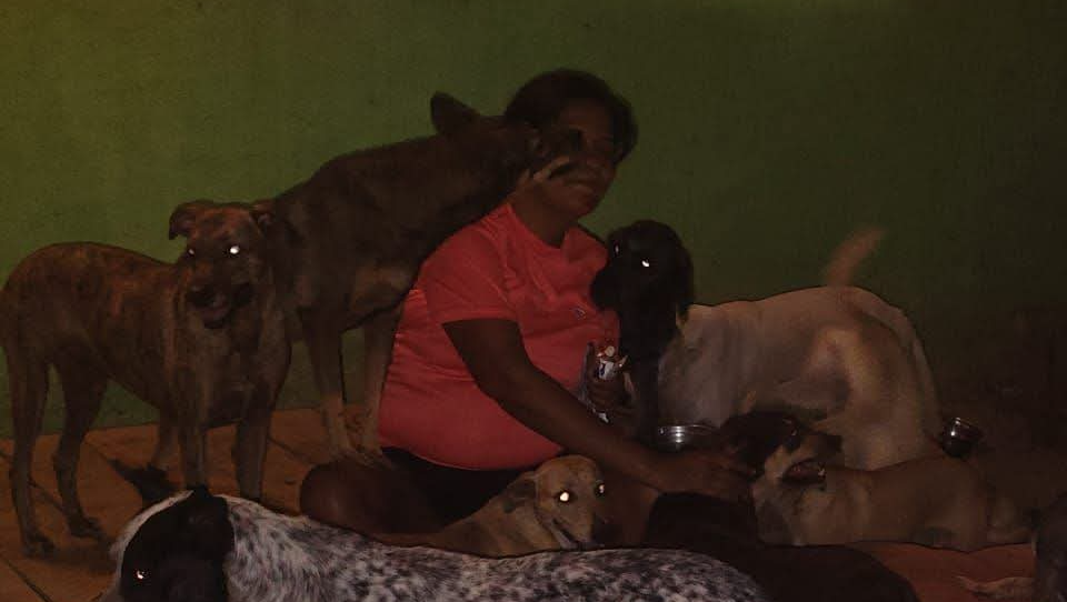 A los perritos  photo