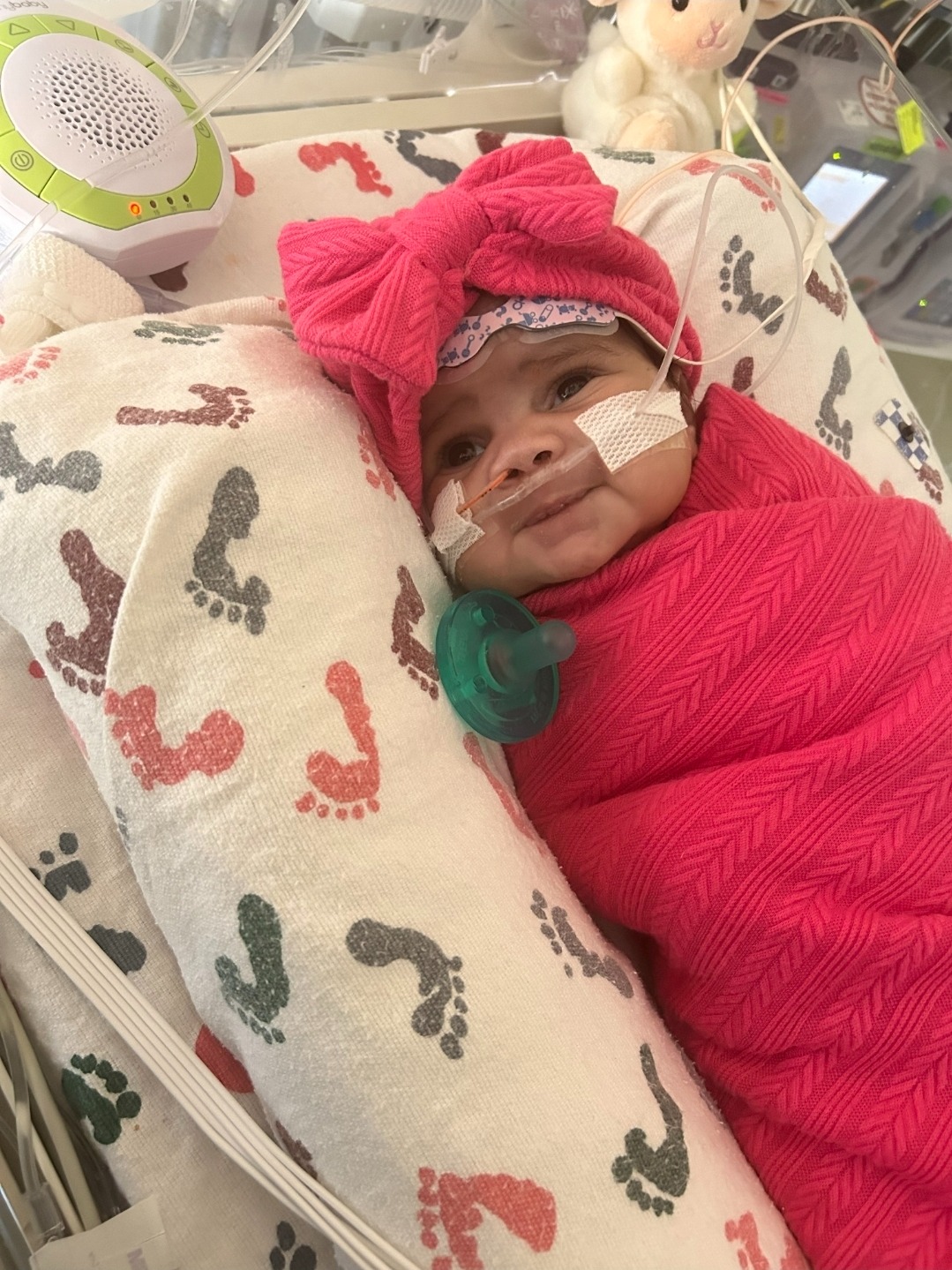 Her Fight Is Over, Her Love Lives On: Helping Lay Baby Seren campaign photo, 2 of 7