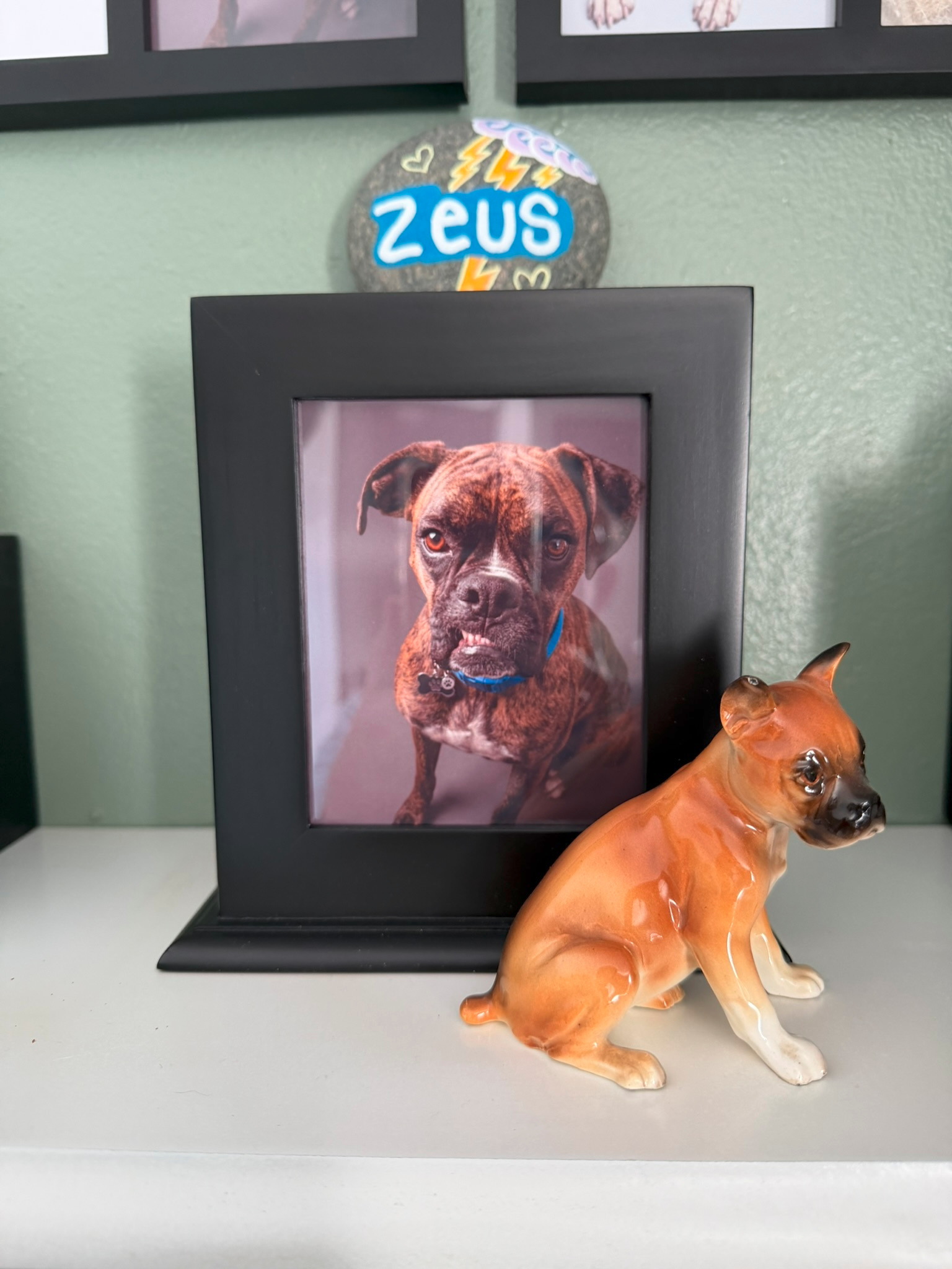 Fundraiser by David Backus : Help Zeke and Zeus with Emergency Vet Bills