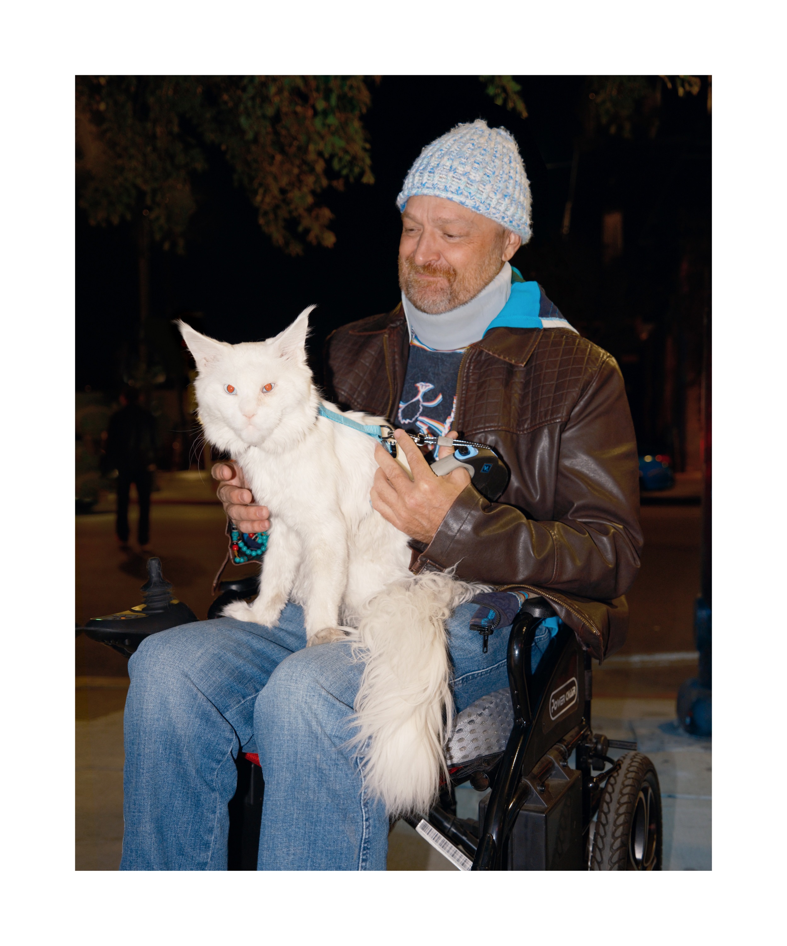 Help Falcor's Angels Deaf Mainecoon Cats For Veterans campaign photo, 2 of 8