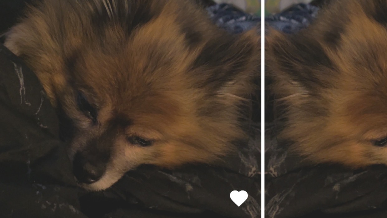 Help Bri Rebuild After Eviction photo