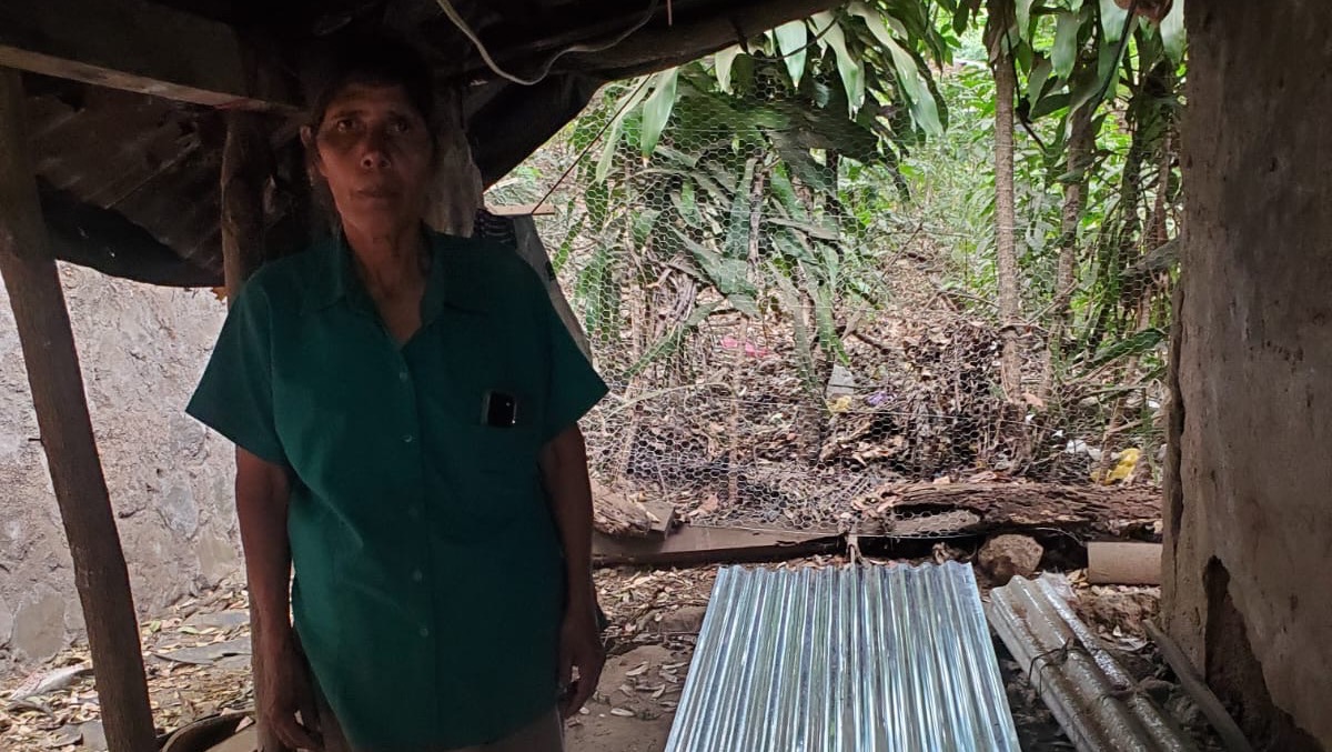 Support Families in Central America photo