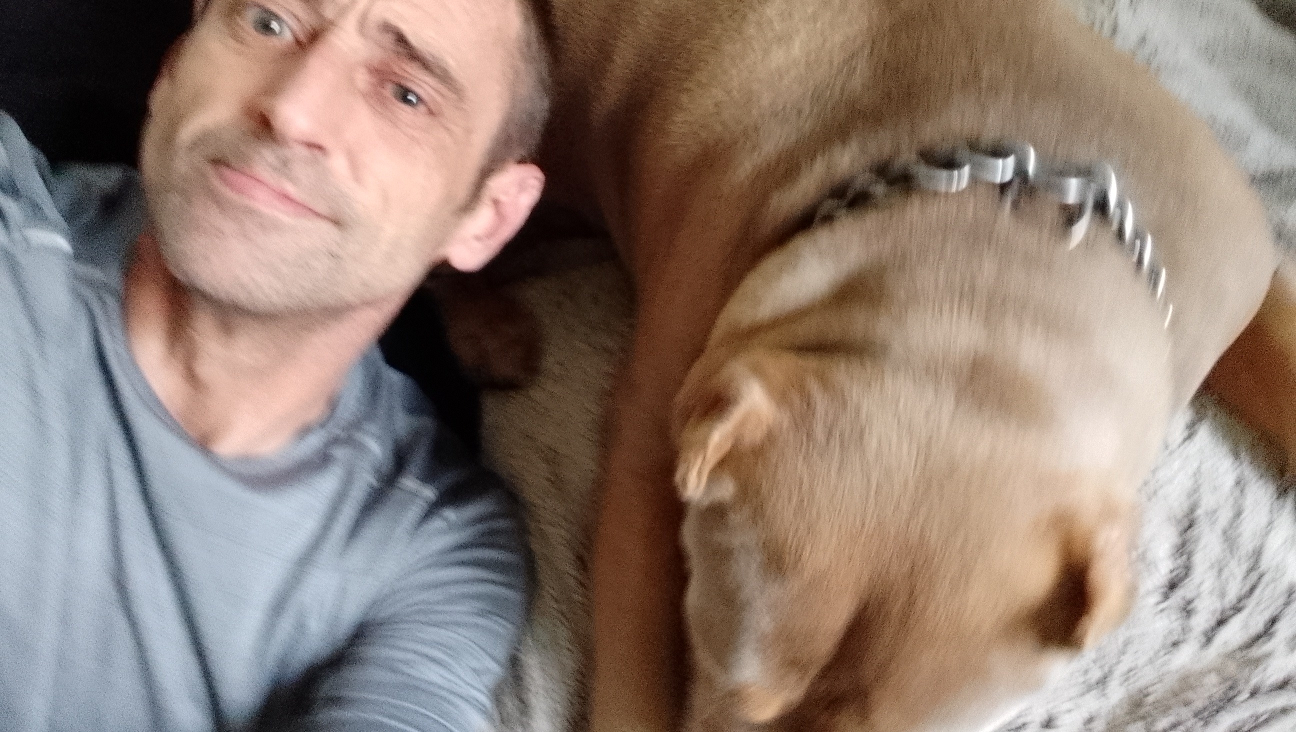 Help get me and my dog a permanent home photo