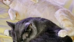 Support Adriana’s Fresh Start photo