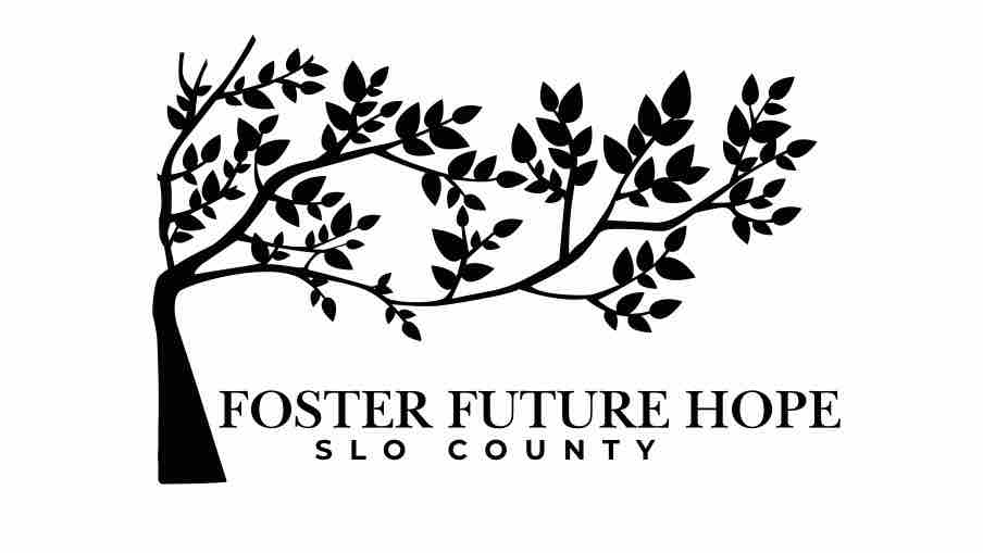 Support Our Mission To Get Foster Kids In The Game photo