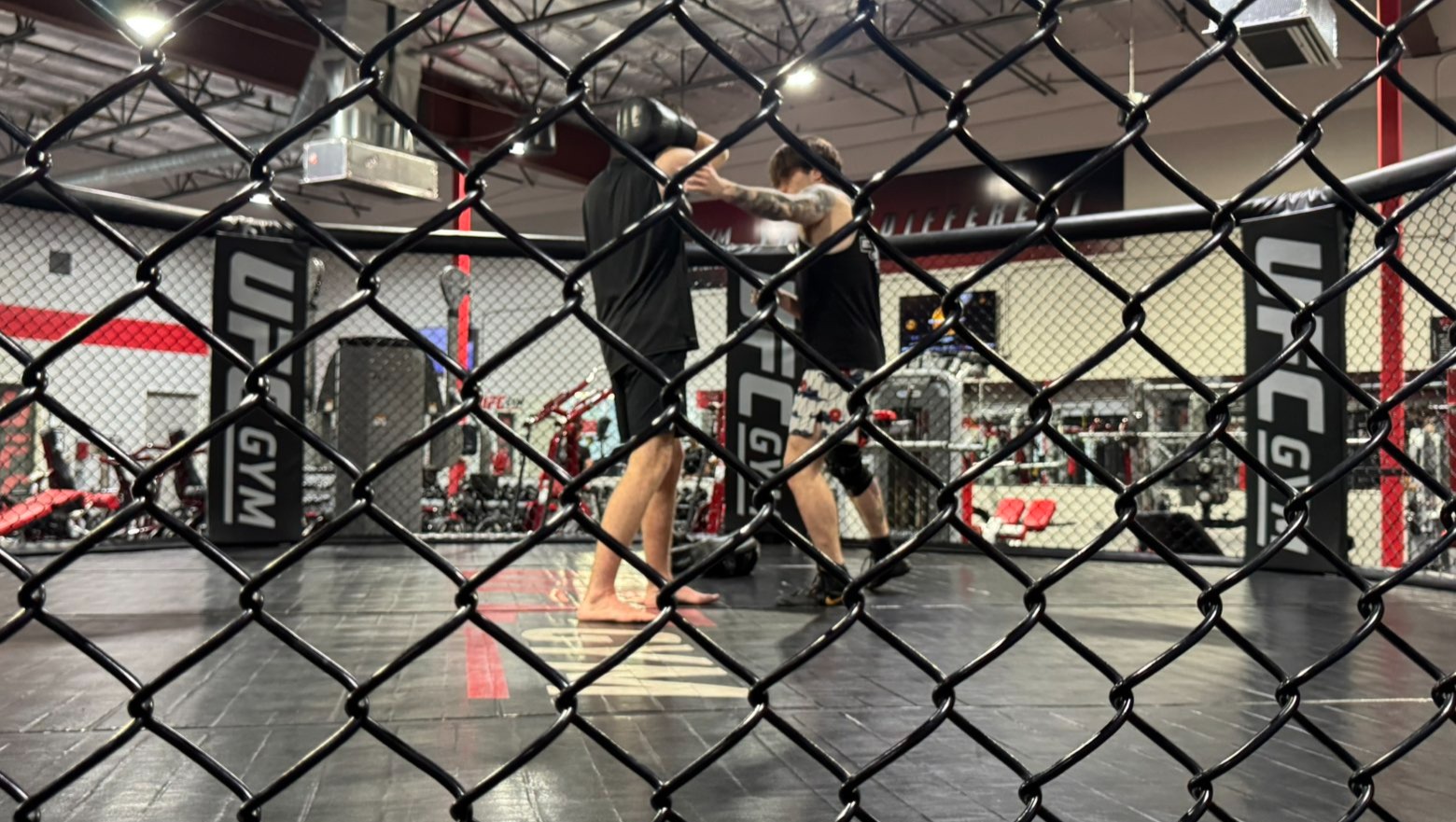 Support My MMA Training photo