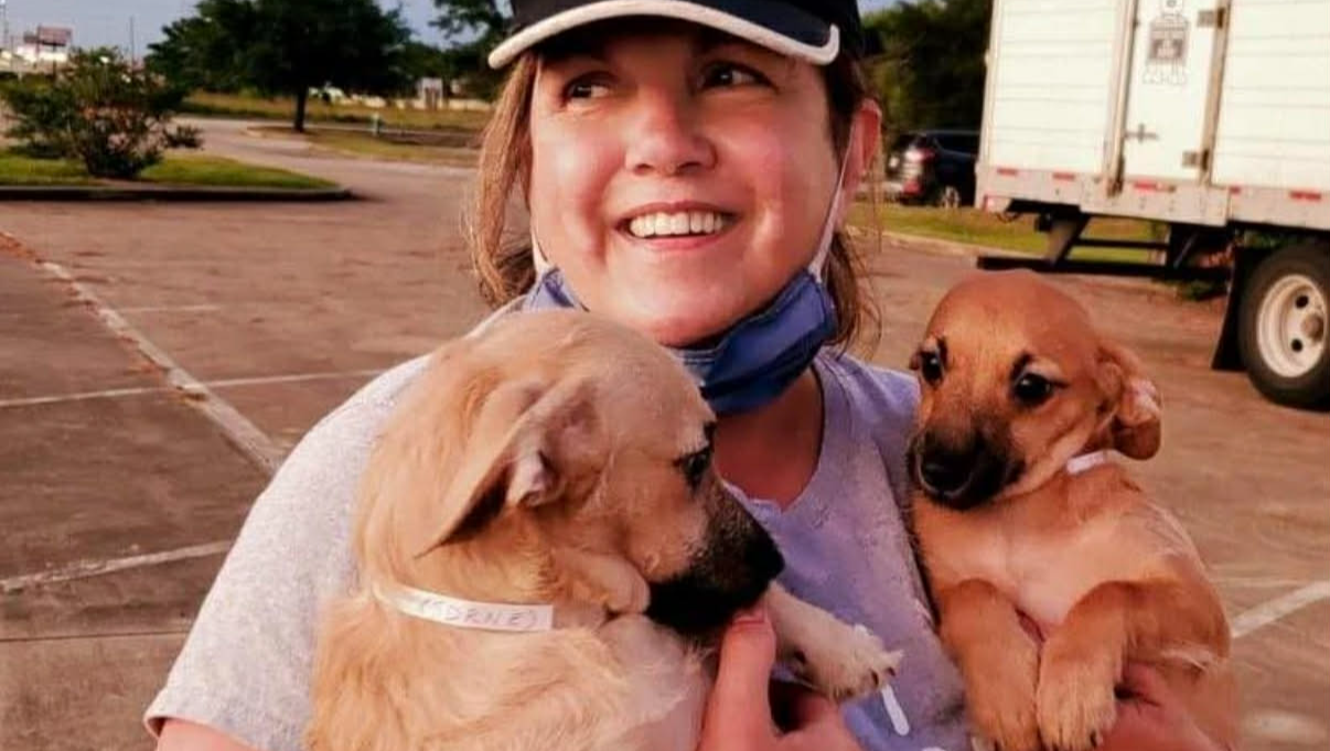 Fundraiser by Homeless Angels Rescue Team : To give a second chance to ...