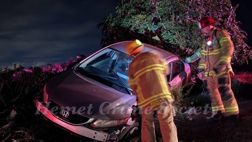 Help Us Find a Safe Home photo