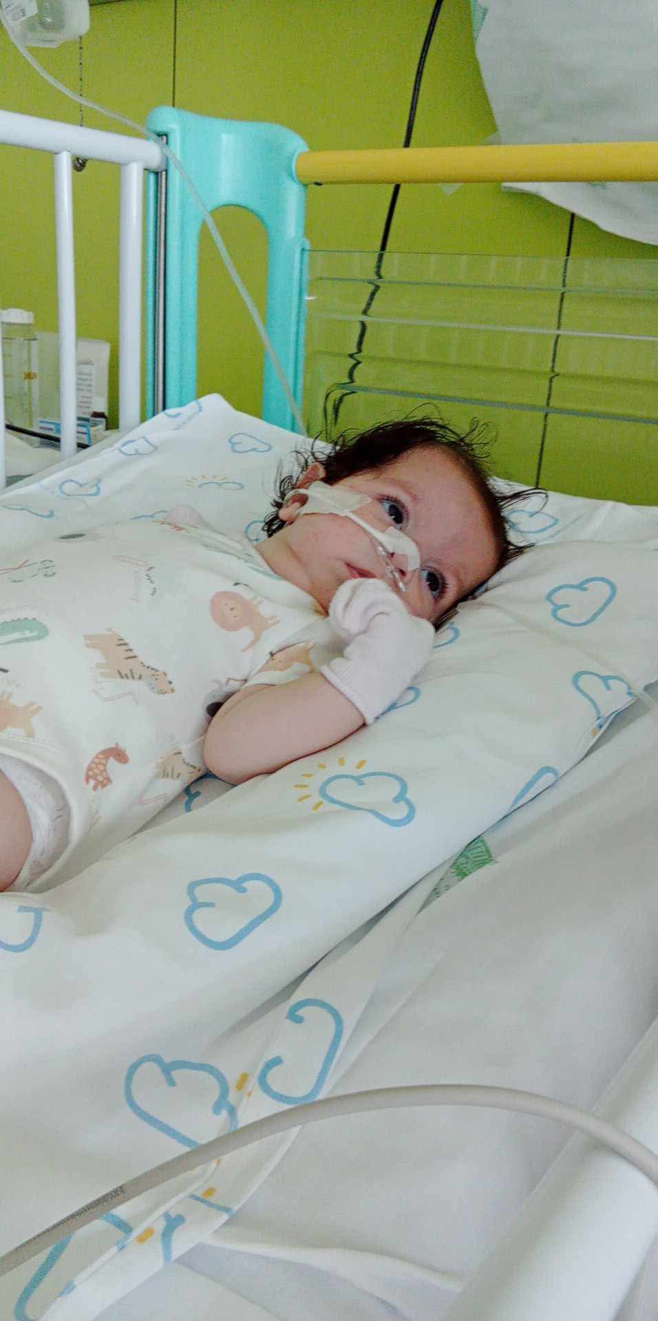 Foto da arrecadação Maria Luísa e a Trissomia 10, 4 de 5