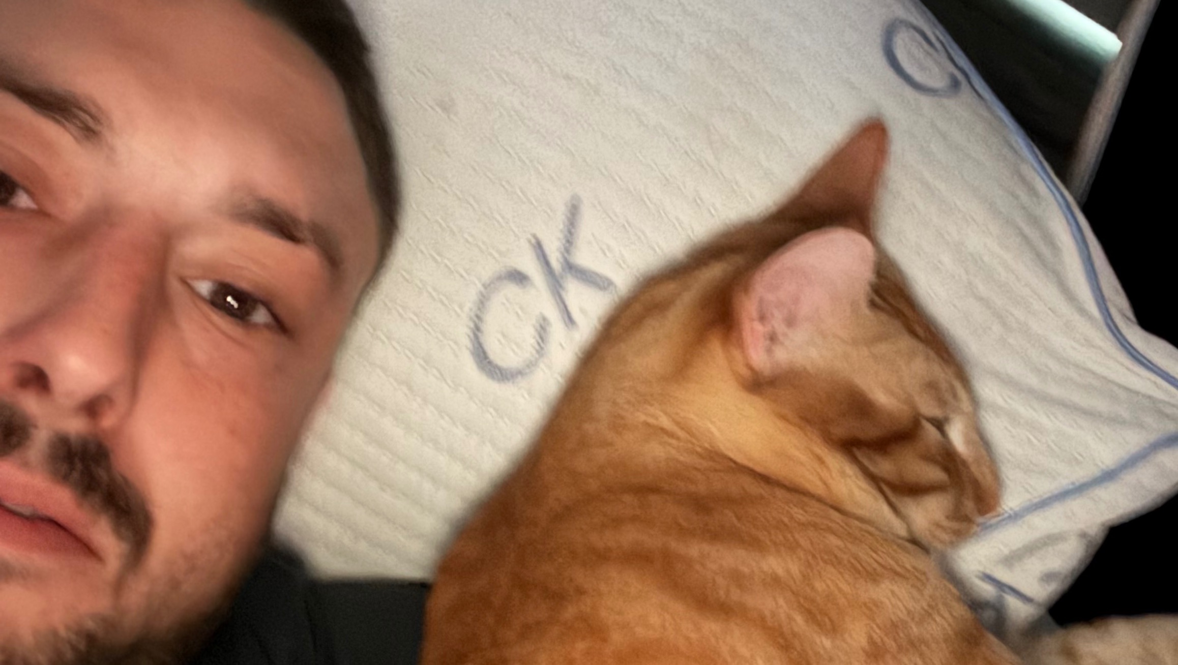 Help Me Keep My Cats & Home photo