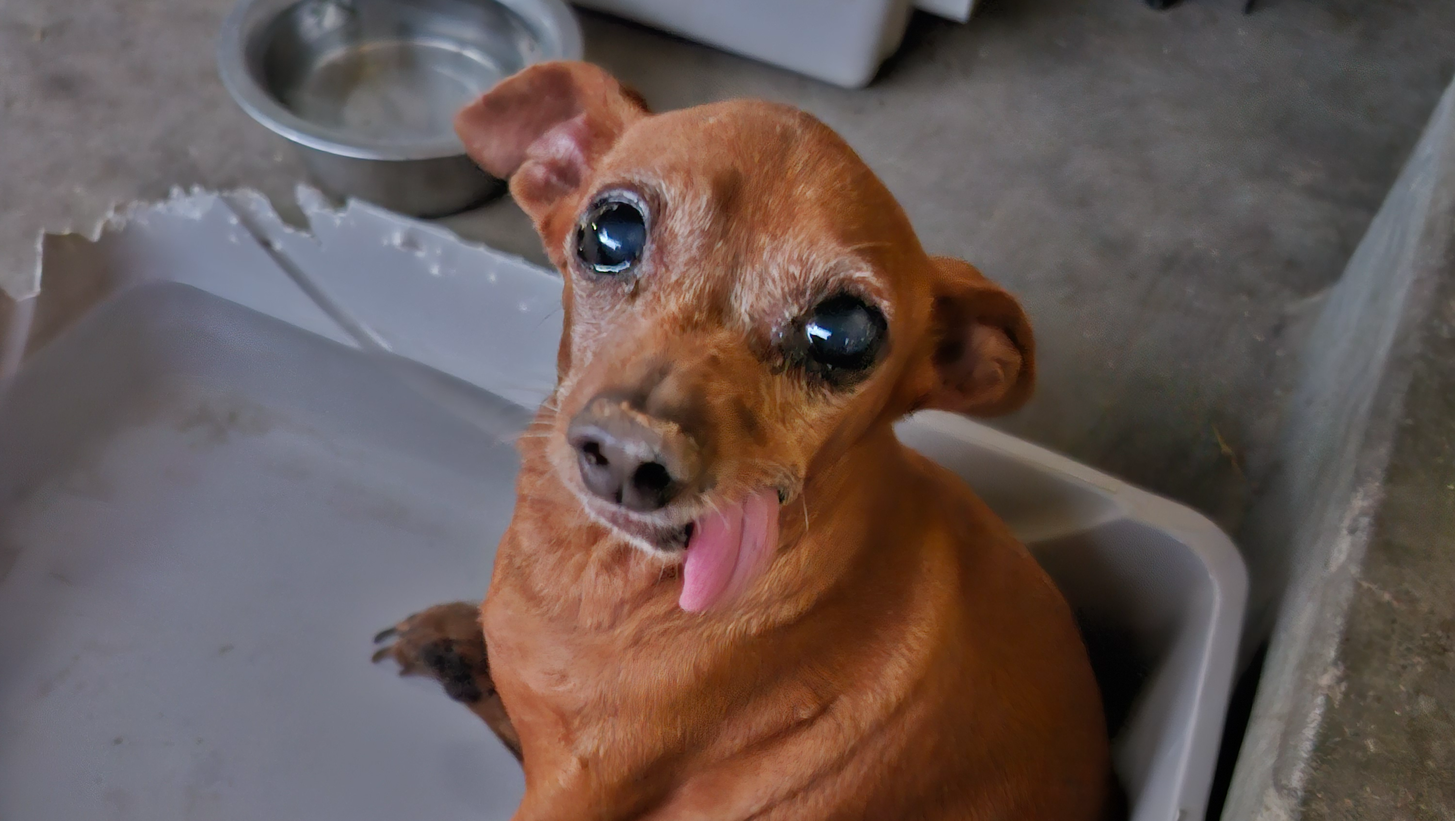 Help Duke Heal: Eye Surgery and Heart Treatment photo