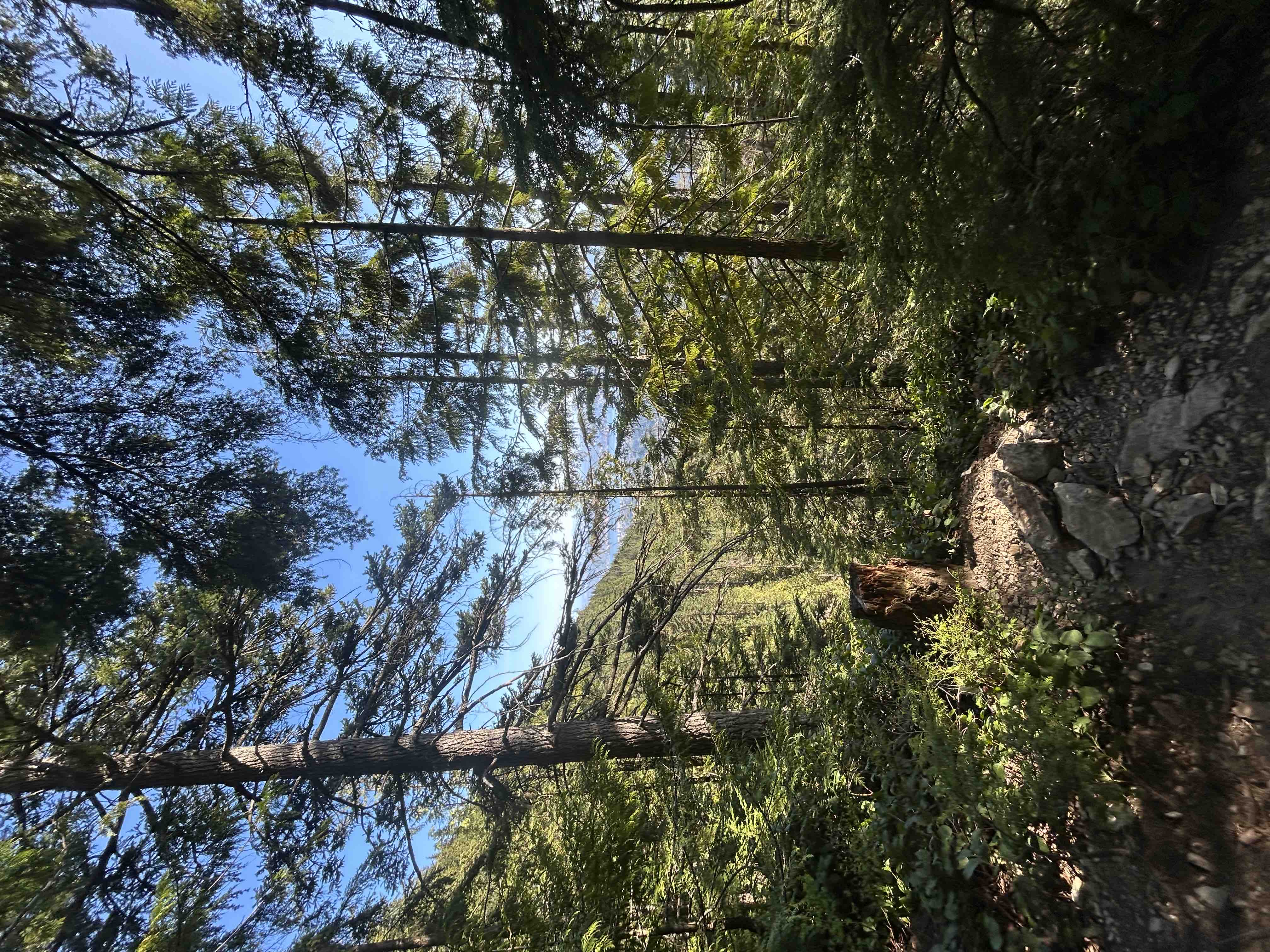 Everyday In May campaign photo, 5 of 6