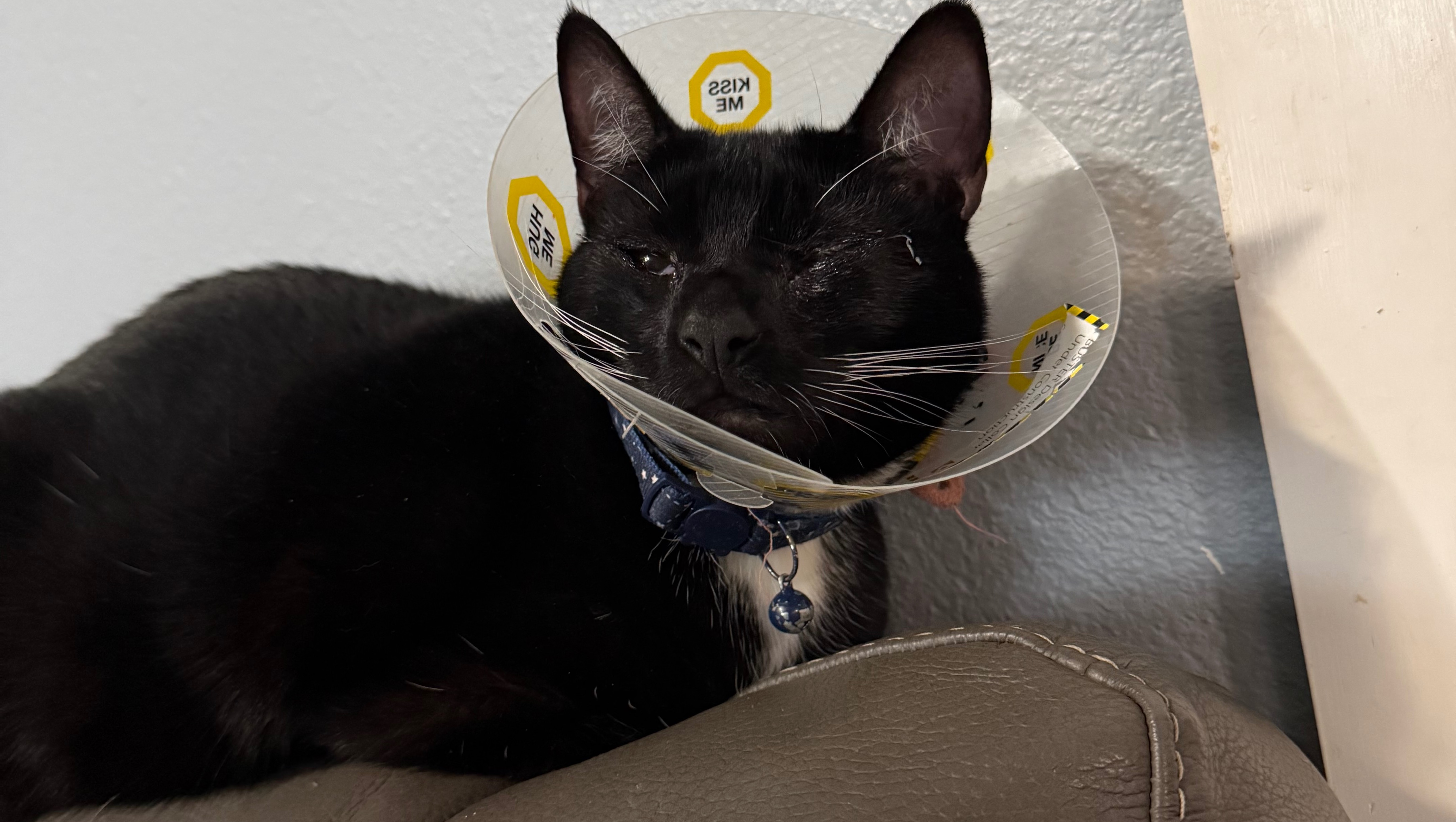 Care for Sweet Yogurt’s Eye Treatment photo