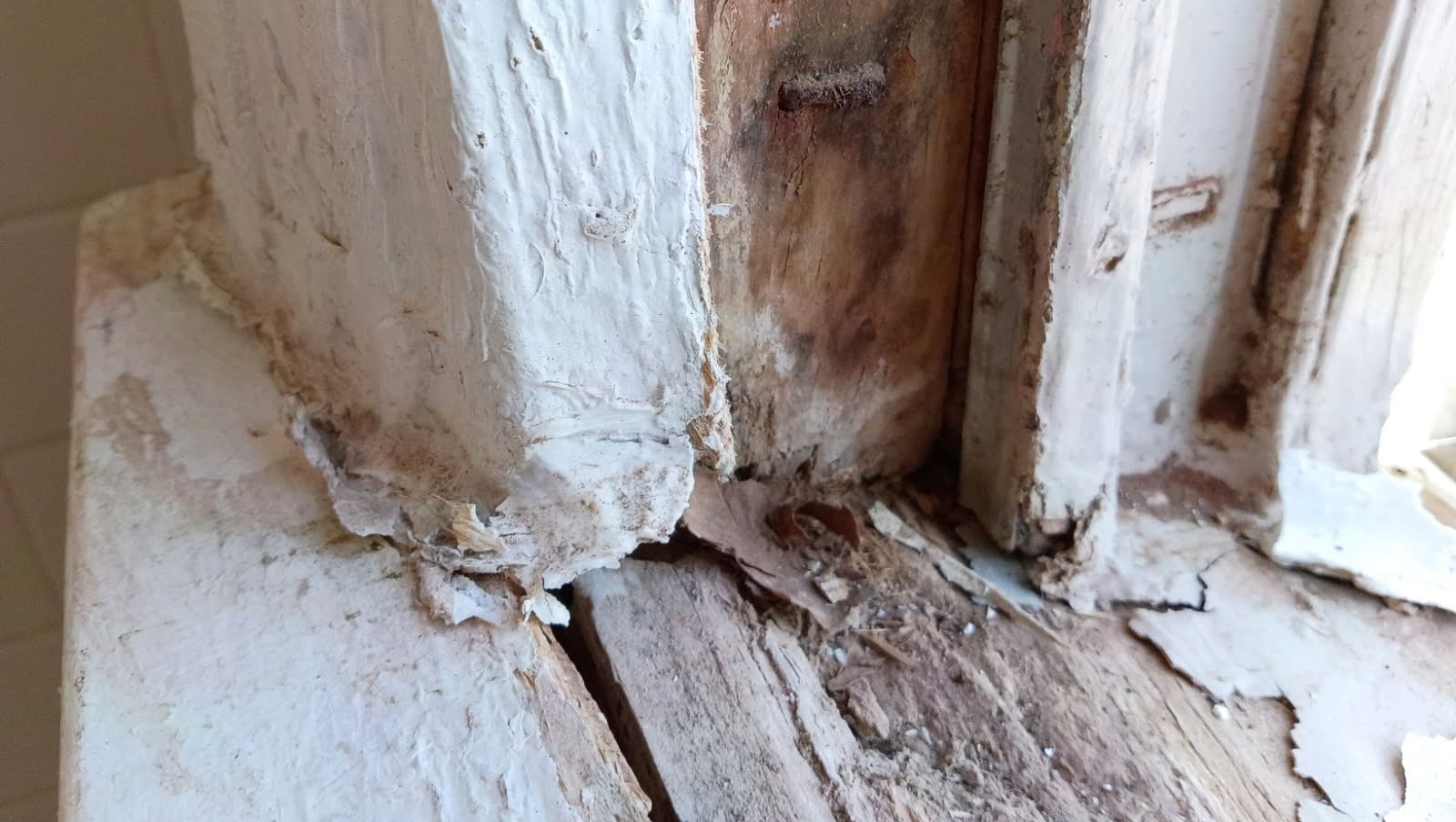 Looking for help while in a dispute with our landlord. photo