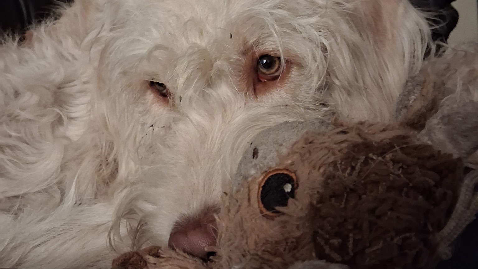 Help Hughie Get Life-Changing Surgery photo