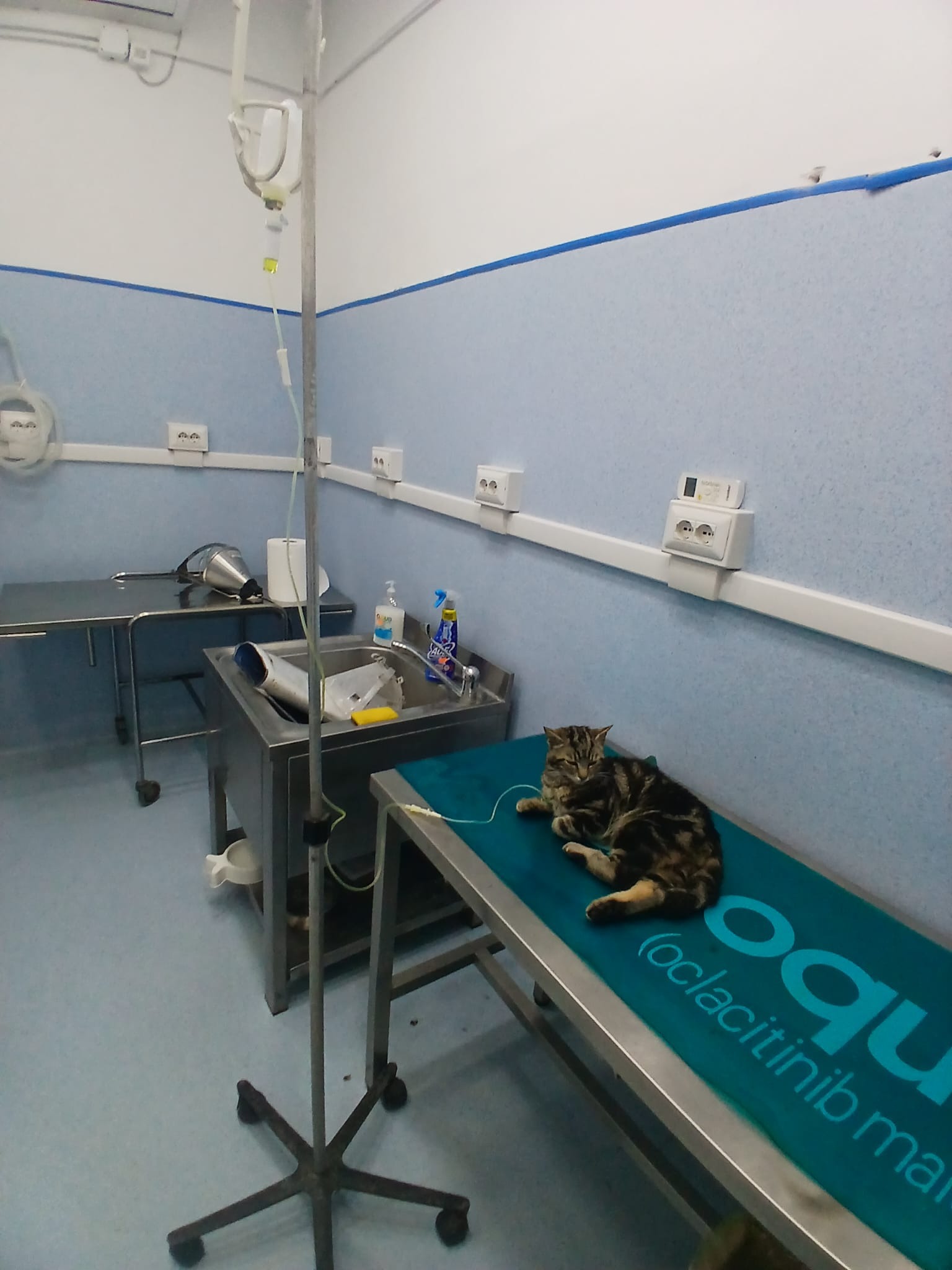 Aiuto urgente per intervento chirurgico,rimettiamolo in pied campaign photo, 6 of 8
