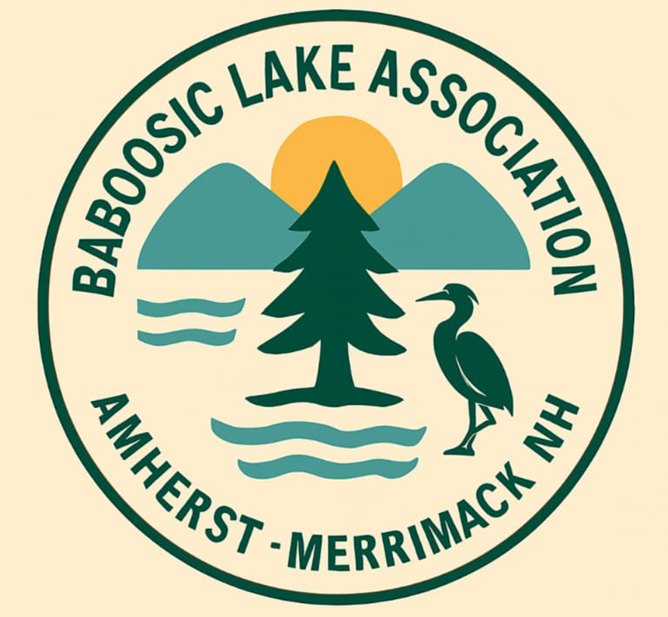 Support Baboosic Lake for Generations to Come campaign photo, 5 of 6