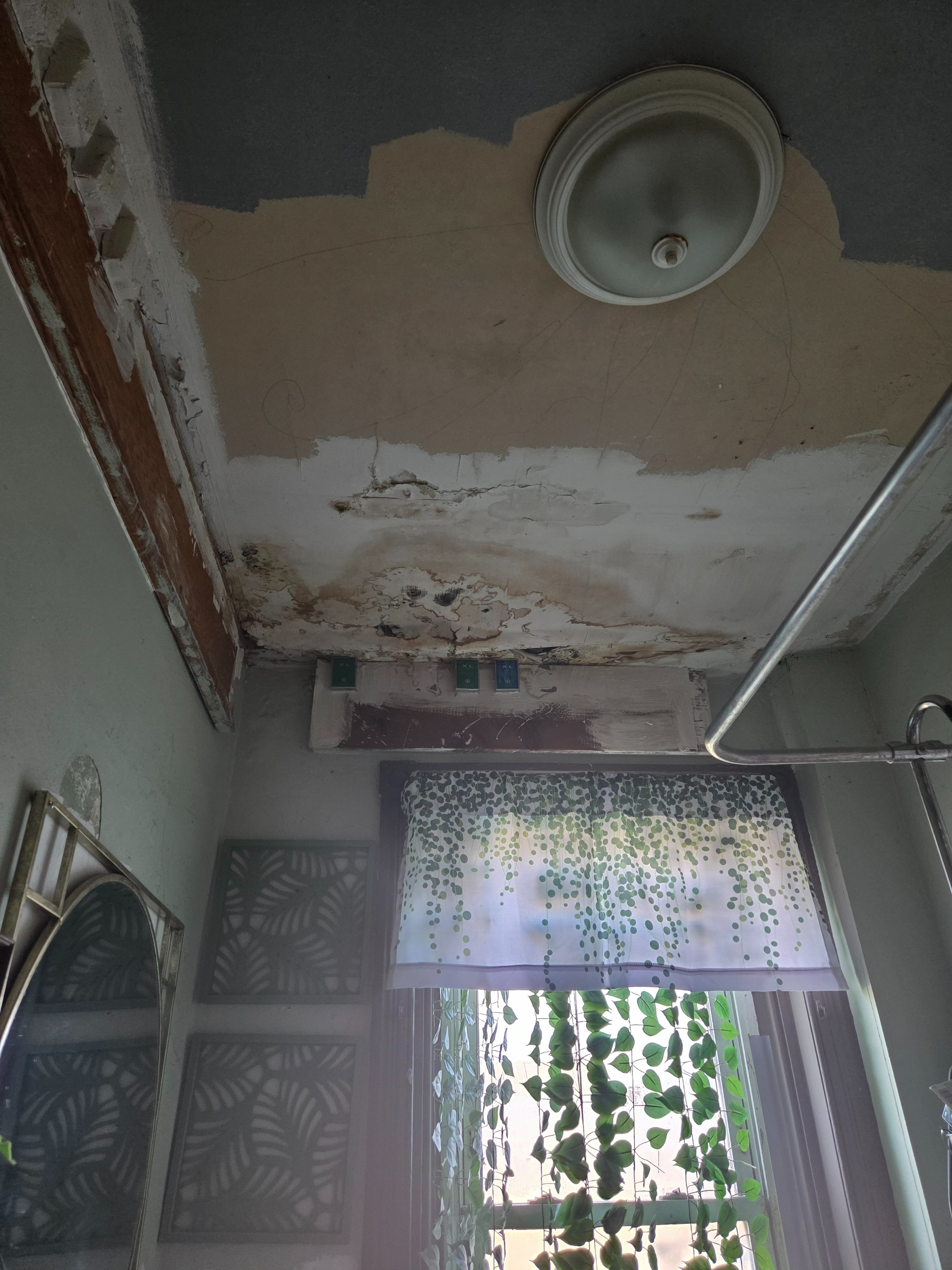 Help Rebuild My Home & Healing Journey campaign photo, 6 of 8