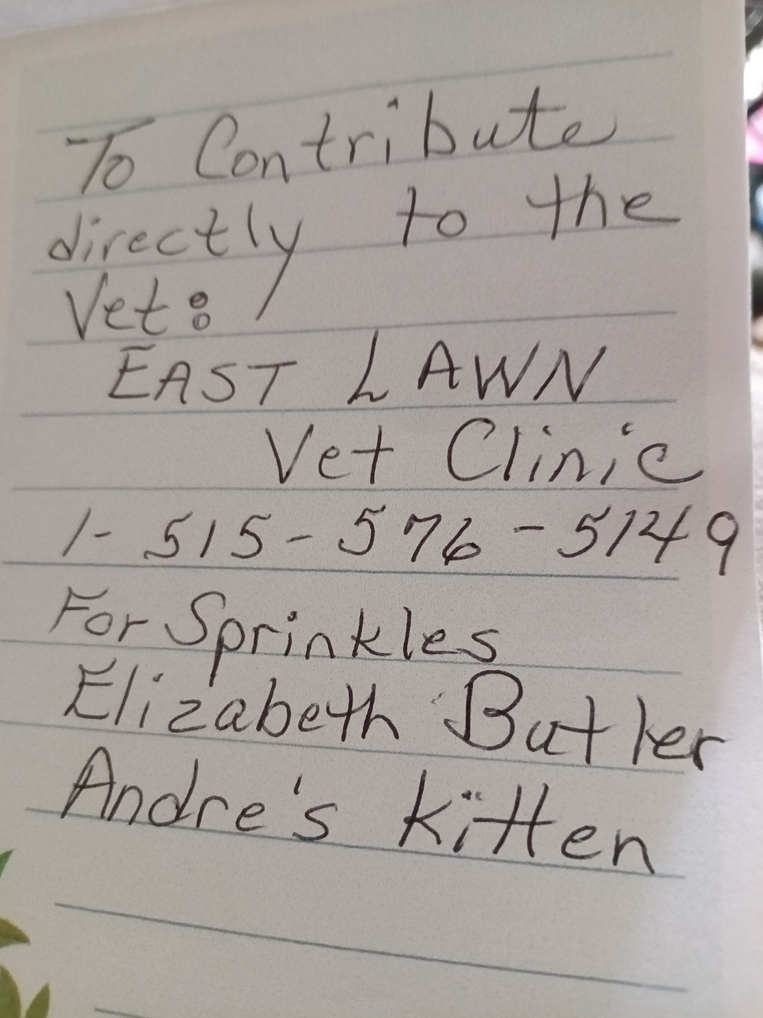 Sandy Butler Rbom Fundraiser by Sandy Gibbs Butler : Help Andre Reunite with His Kitty
