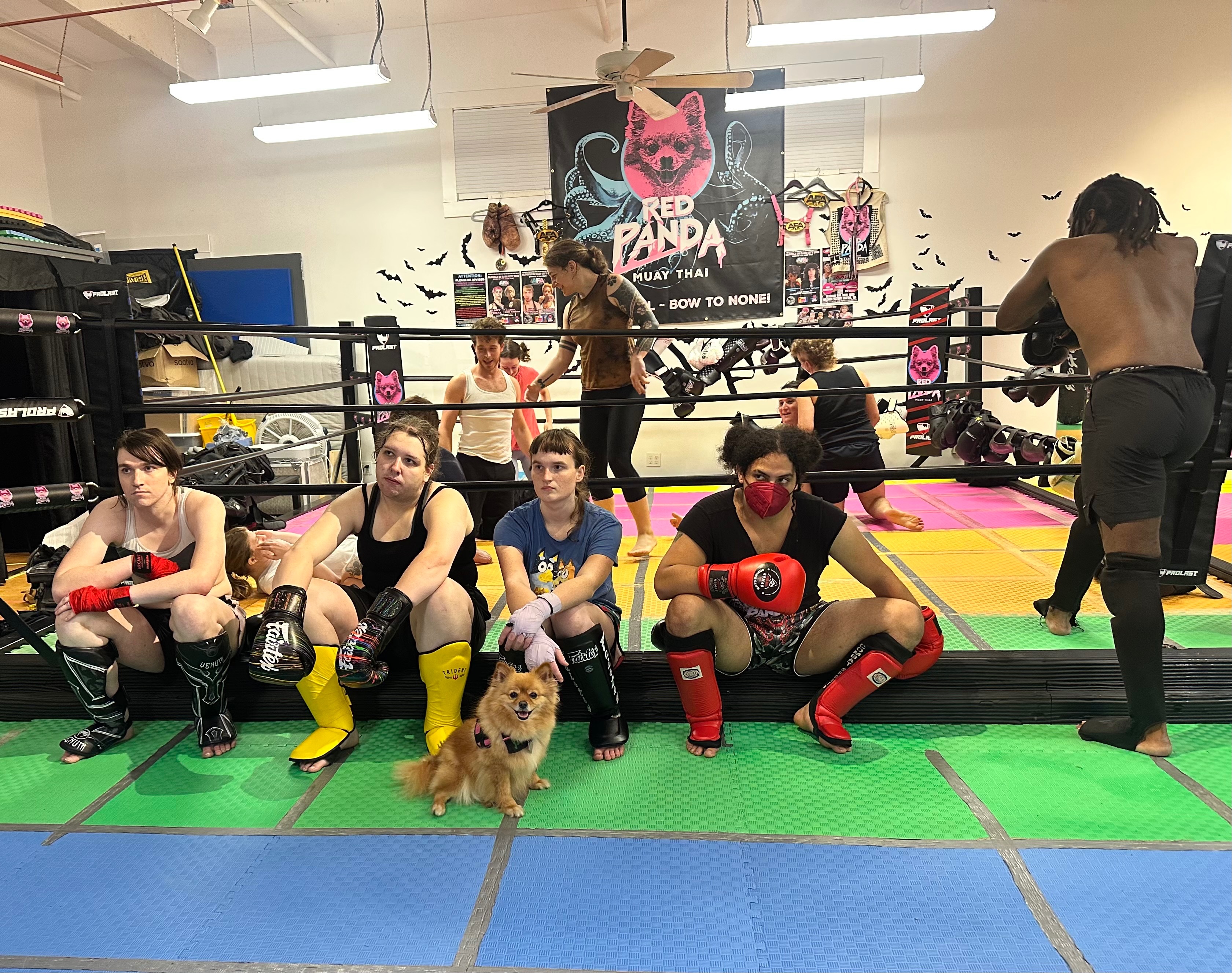 Help Red Panda Muay Thai expand and hire coaches campaign photo, 4 of 8